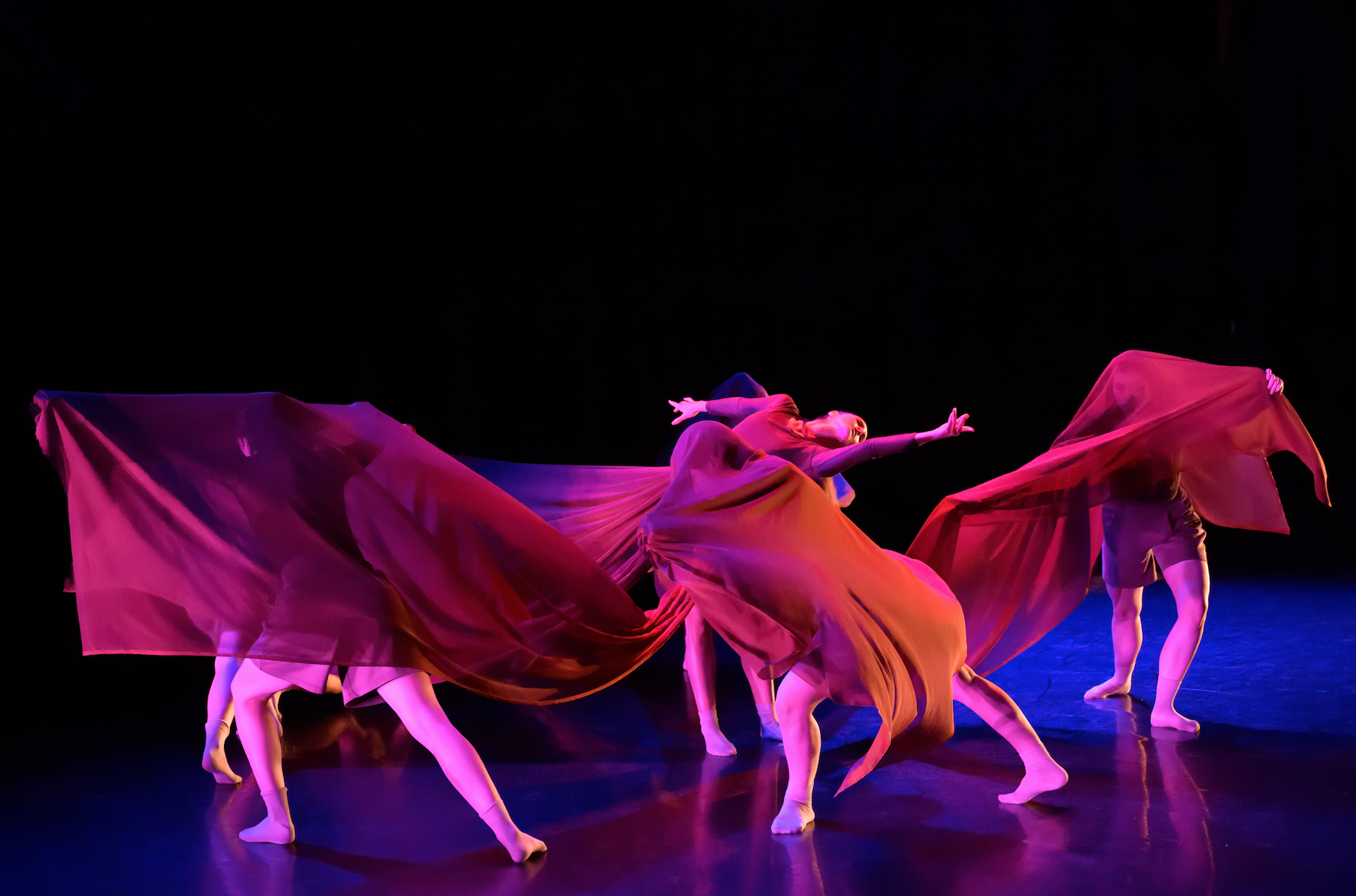 Screen Shot 2026-01-28 at 3.00.35 PM.png