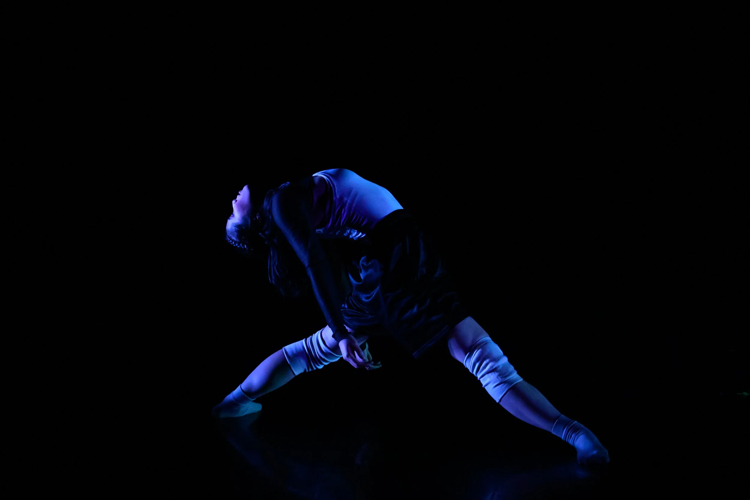 DSC_3479.jpg