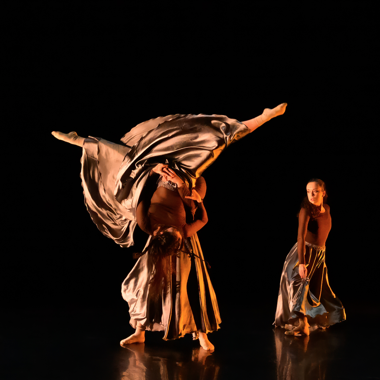 Instinctual Fall 2025