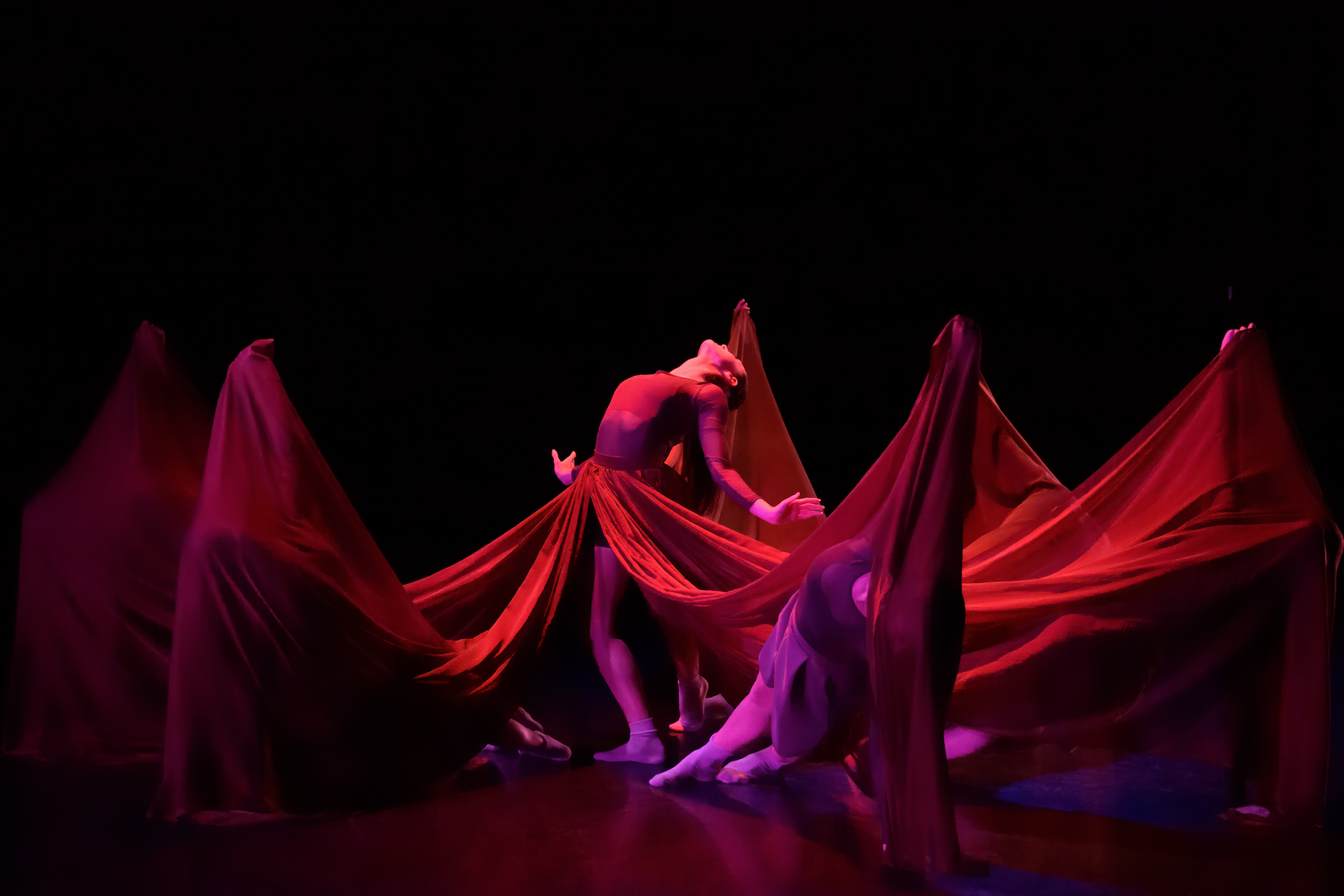 Screen Shot 2026-01-28 at 2.58.20 PM.png