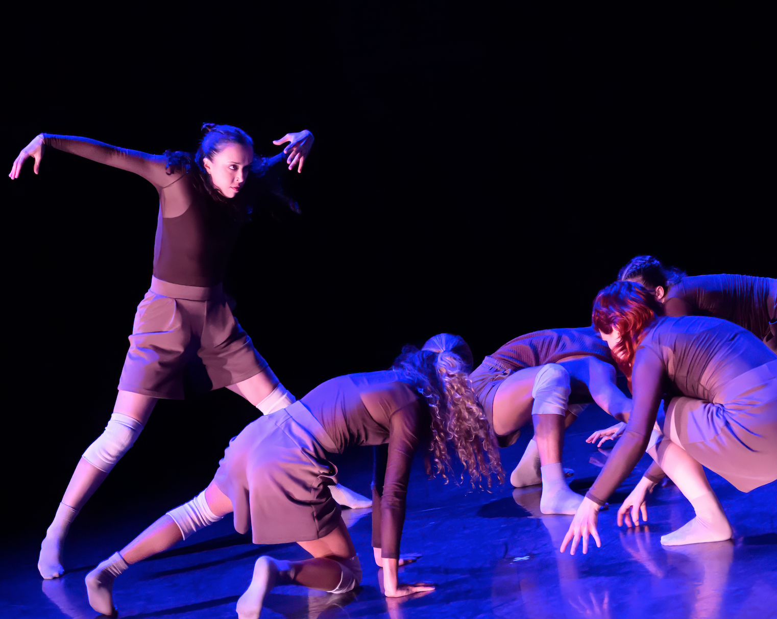 Screen Shot 2026-01-28 at 2.17.02 PM.png