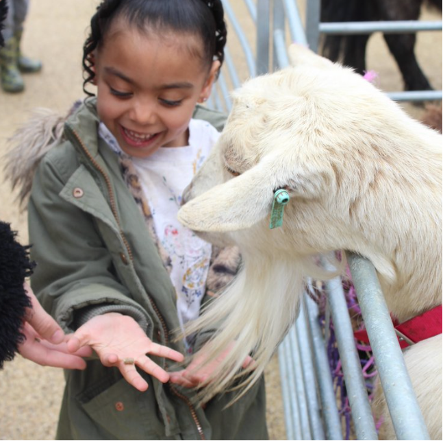 Sutherland Quarters welcomes back farm animals for annual Easter treat