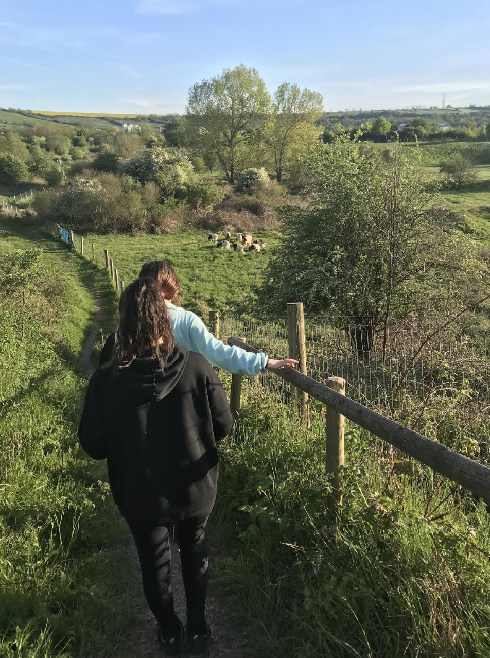 Bristol walking club launches to help foster community spirit