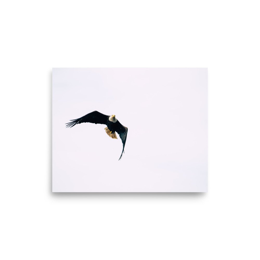 premium-luster-photo-paper-poster-(in)-8x10-front-64def8e40b96c.jpg