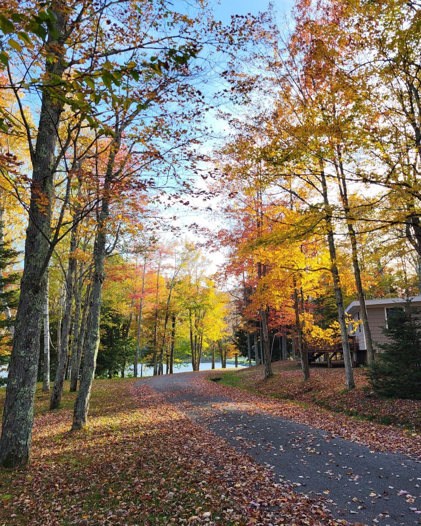 Fall was beautiful at The Lodge 🍁🍂
