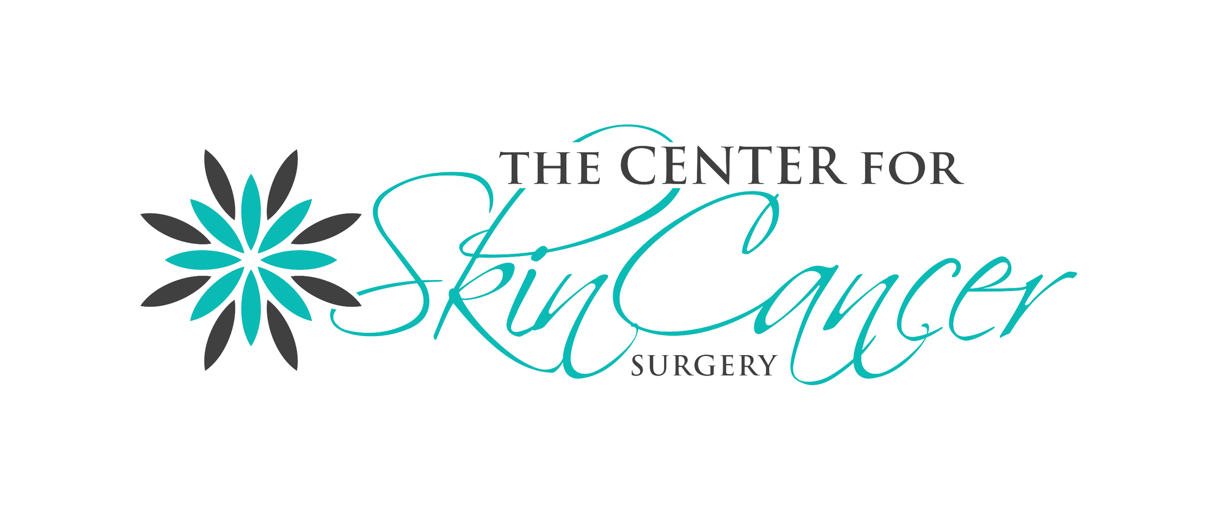 CFSCS LOGO.png