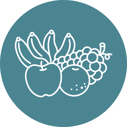 Line drawing of an apple, orange, and bunch of grapes on a teal circular background.