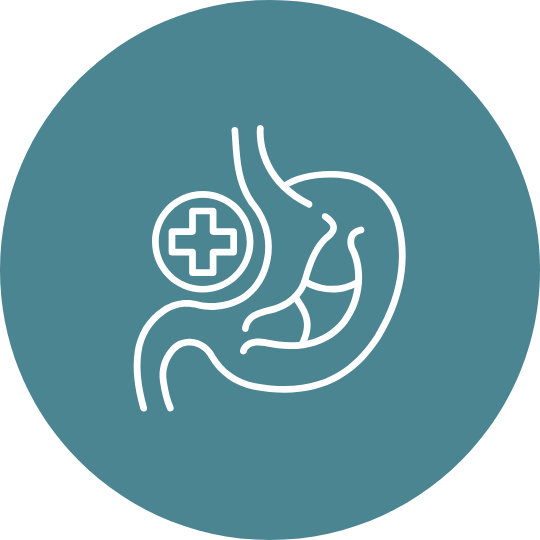Icon of a stomach with a medical cross symbol, representing gastrointestinal or digestive health.