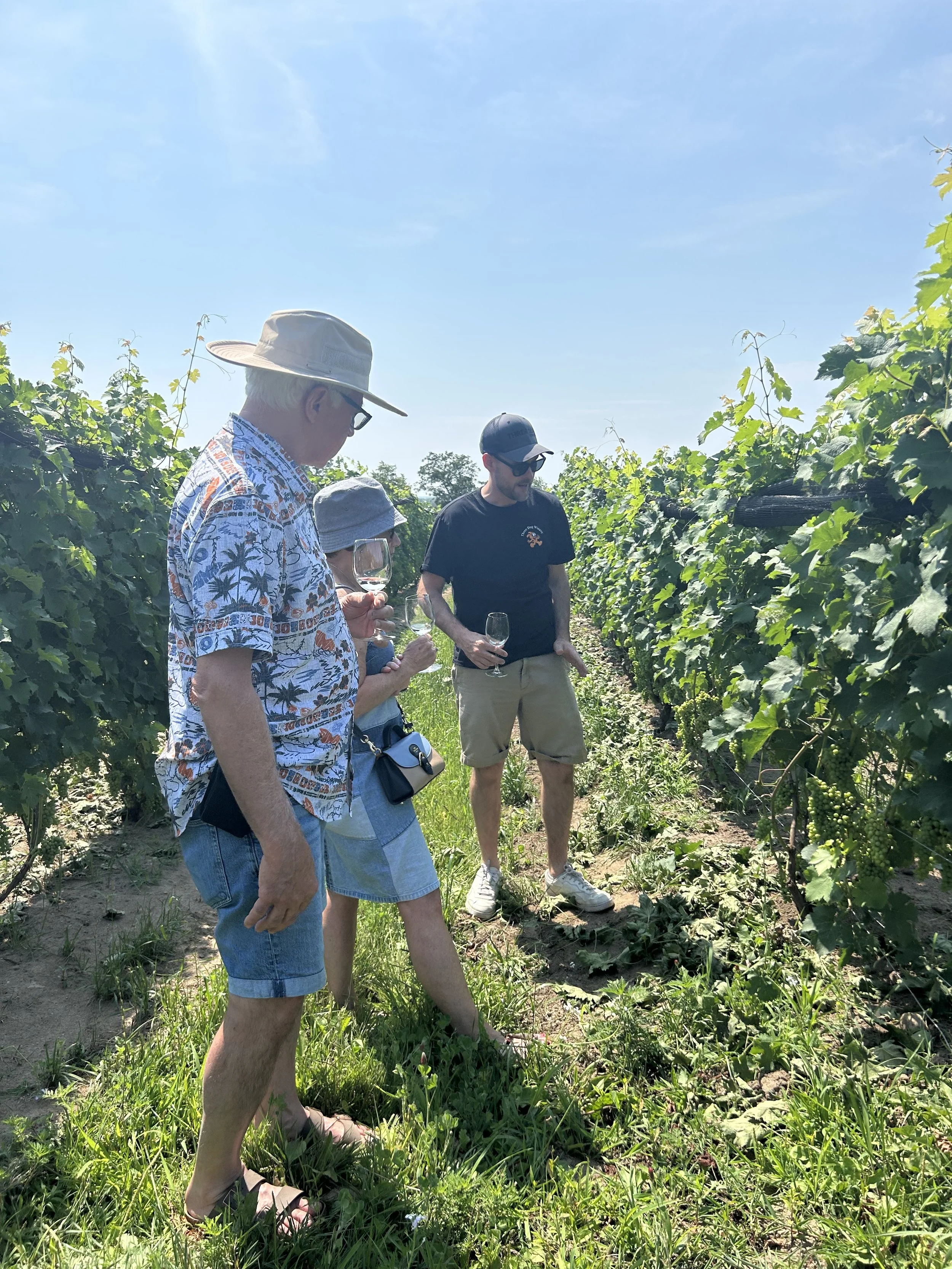 Learning about County grape growing with Andrew @Three Dog Winery