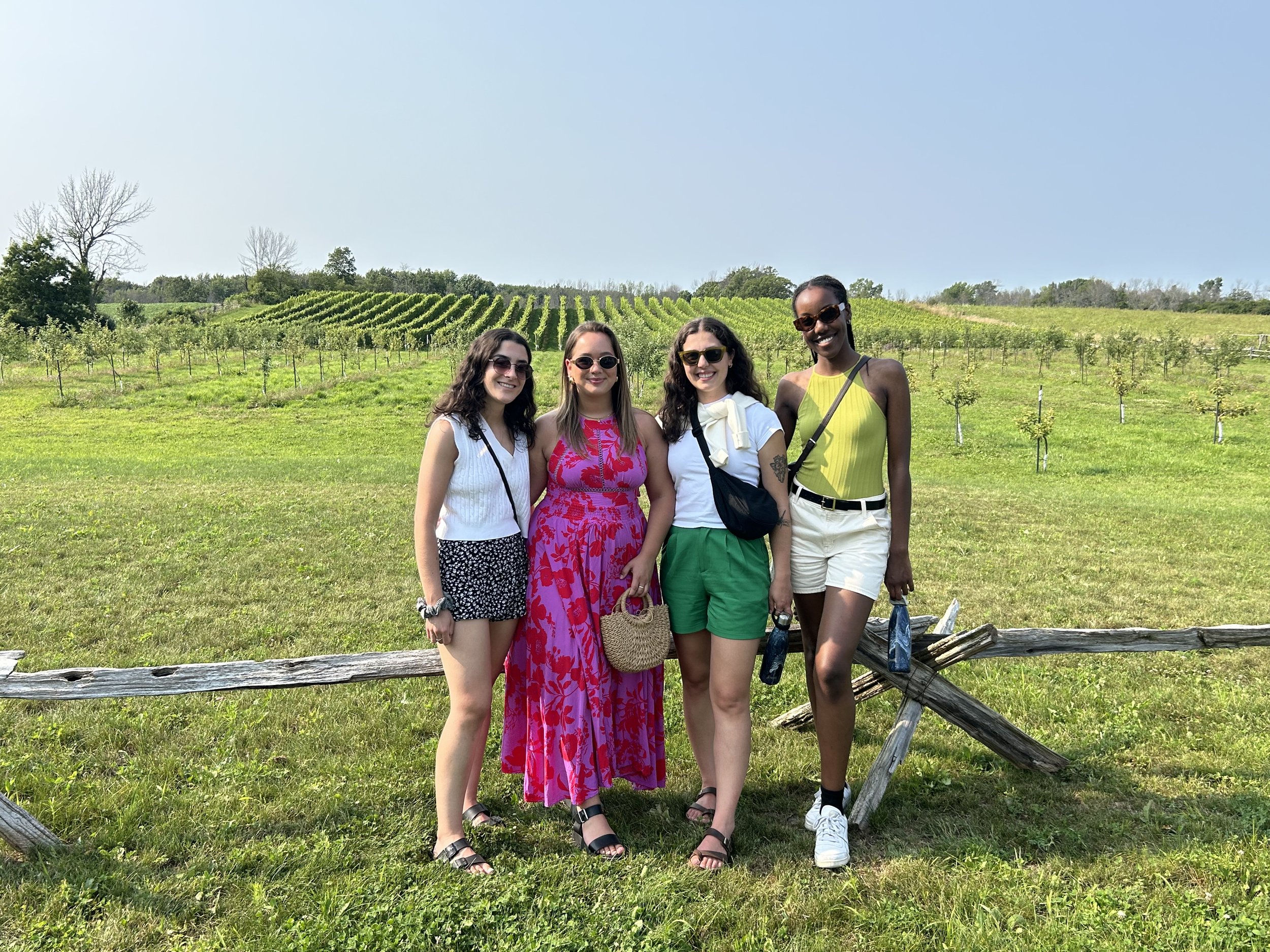 Orchard & vineyard view @ Stock and Row/Stoss Lee