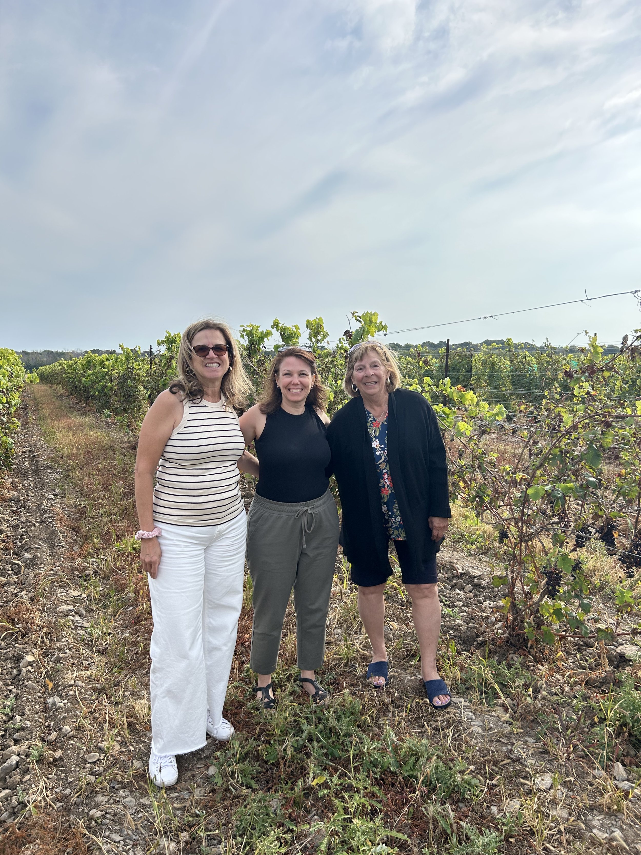 In the vineyards @ Rosehall Run
