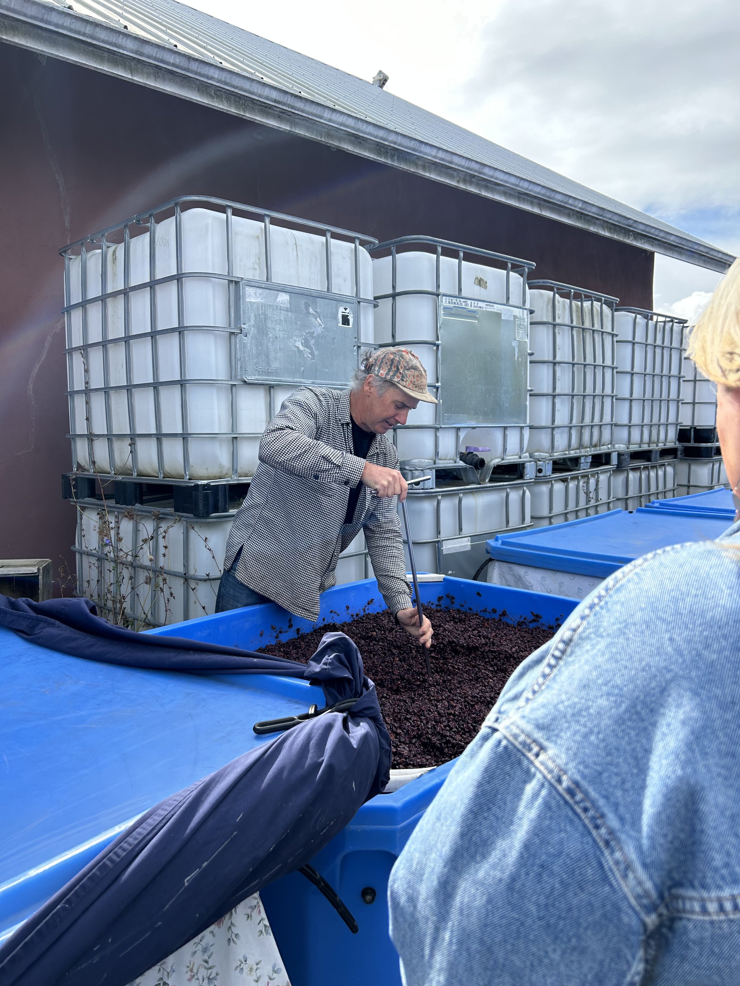 2023 Pinot Noir punch down with Colin Stanners @ Stanners Vineyard