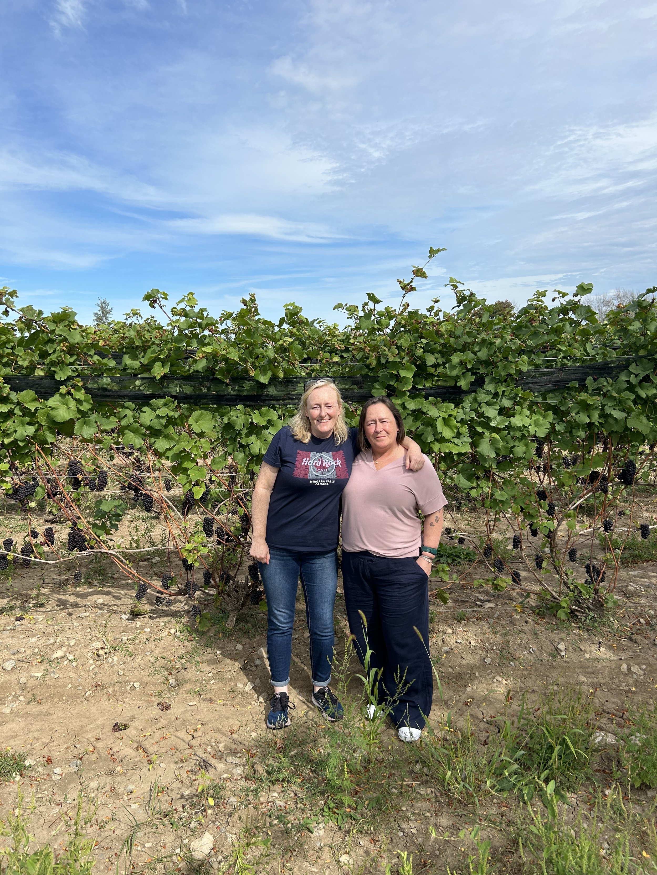 In the vineyards @ Huff Estates