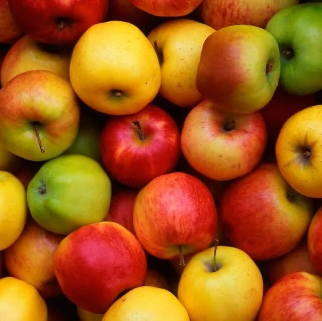 50th Annual Steilacoom Apple Squeeze