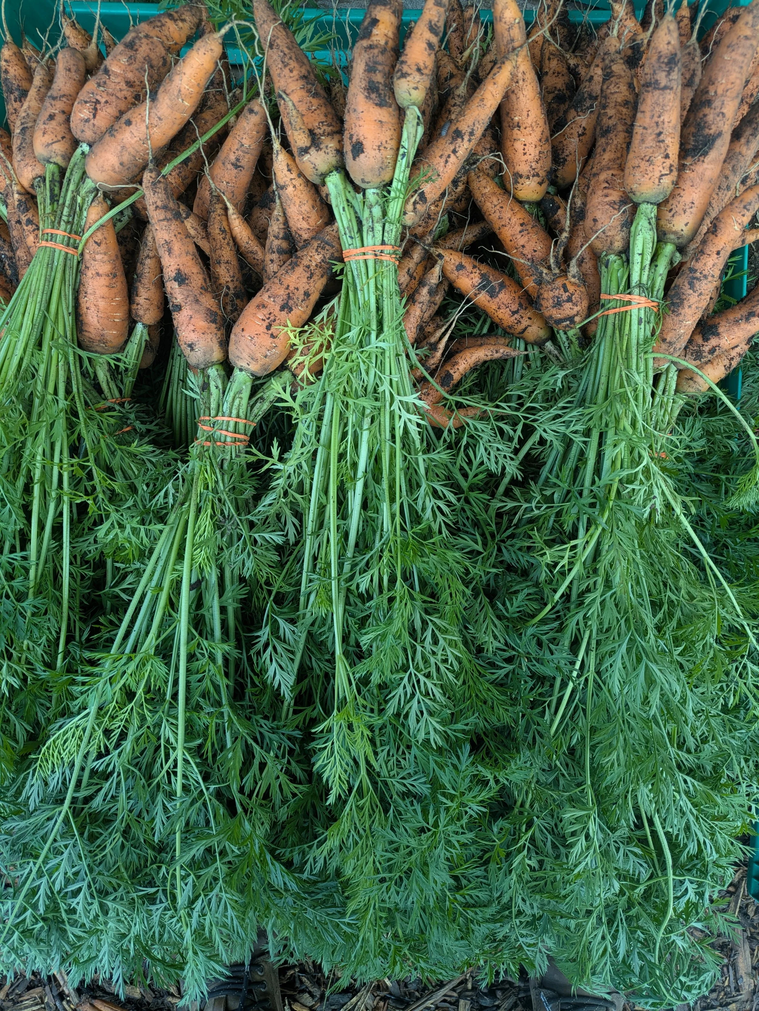 The Farm isn’t asking you to slow down.. it’s telling you.