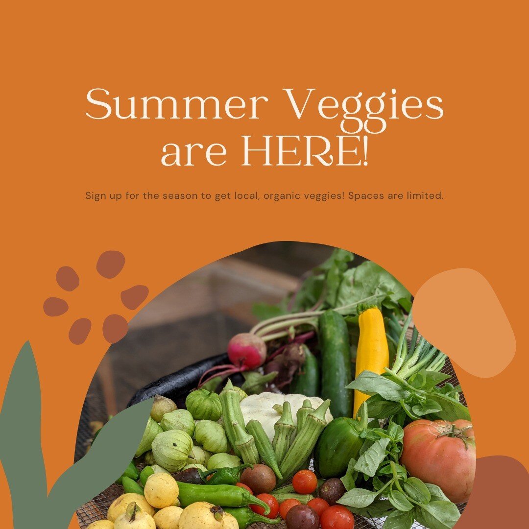 OPEN FOR NEW MEMBERS! Season starts July 17th... We've got veggies with insane flavor and they are calling your name! :) 

Go to our website www.ranchitomilkyway.farm to sign up for a weekly, biweekly, or partial box.