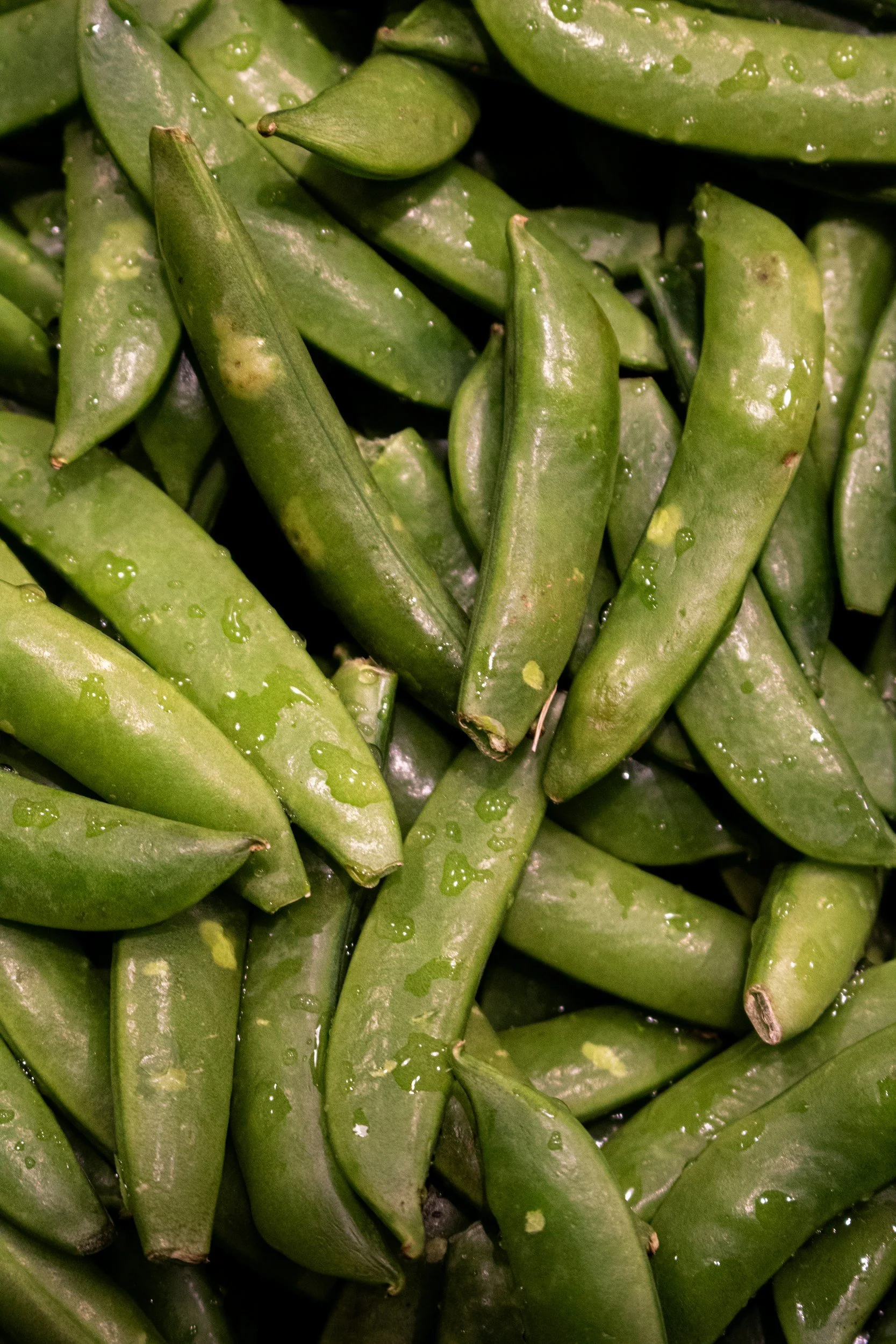 Sugar Snap Peas 