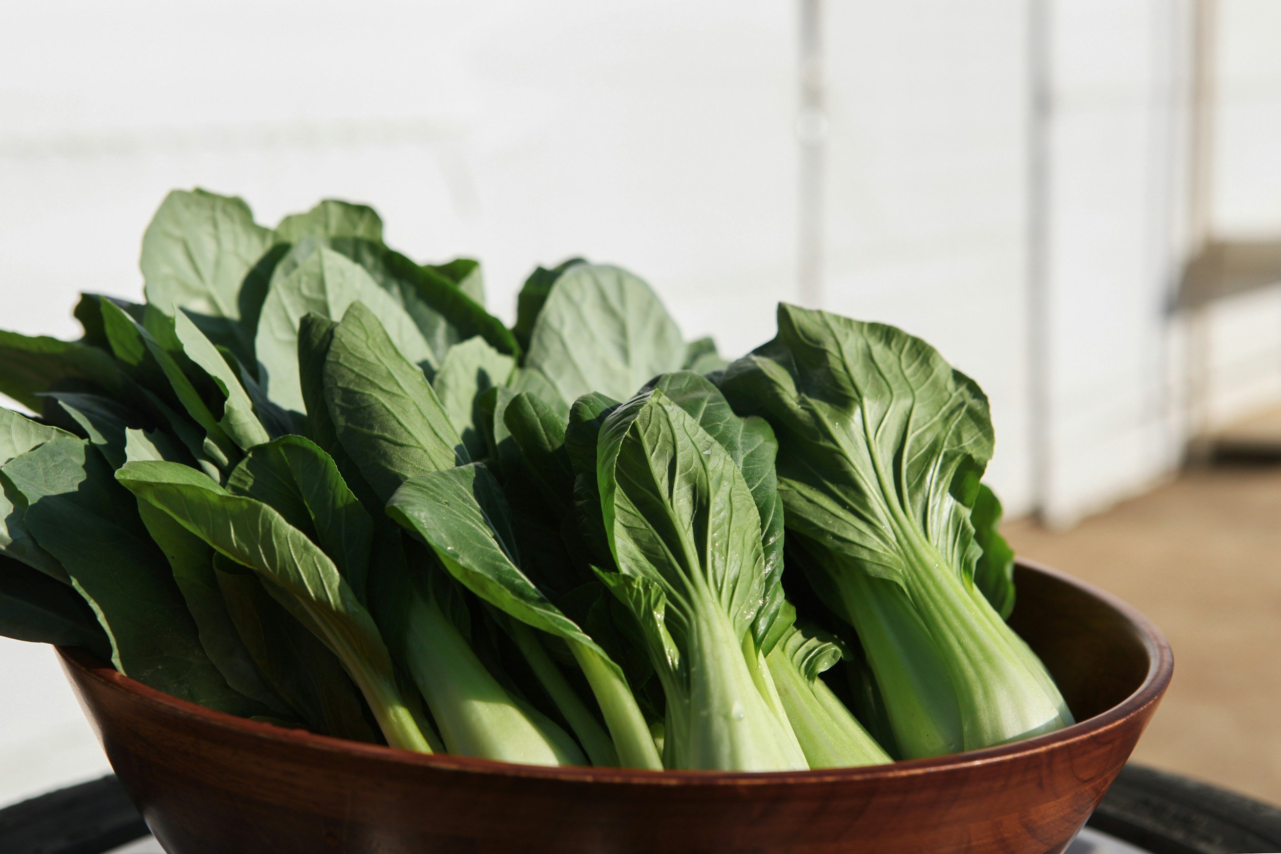 Bok Choy and Cabbage