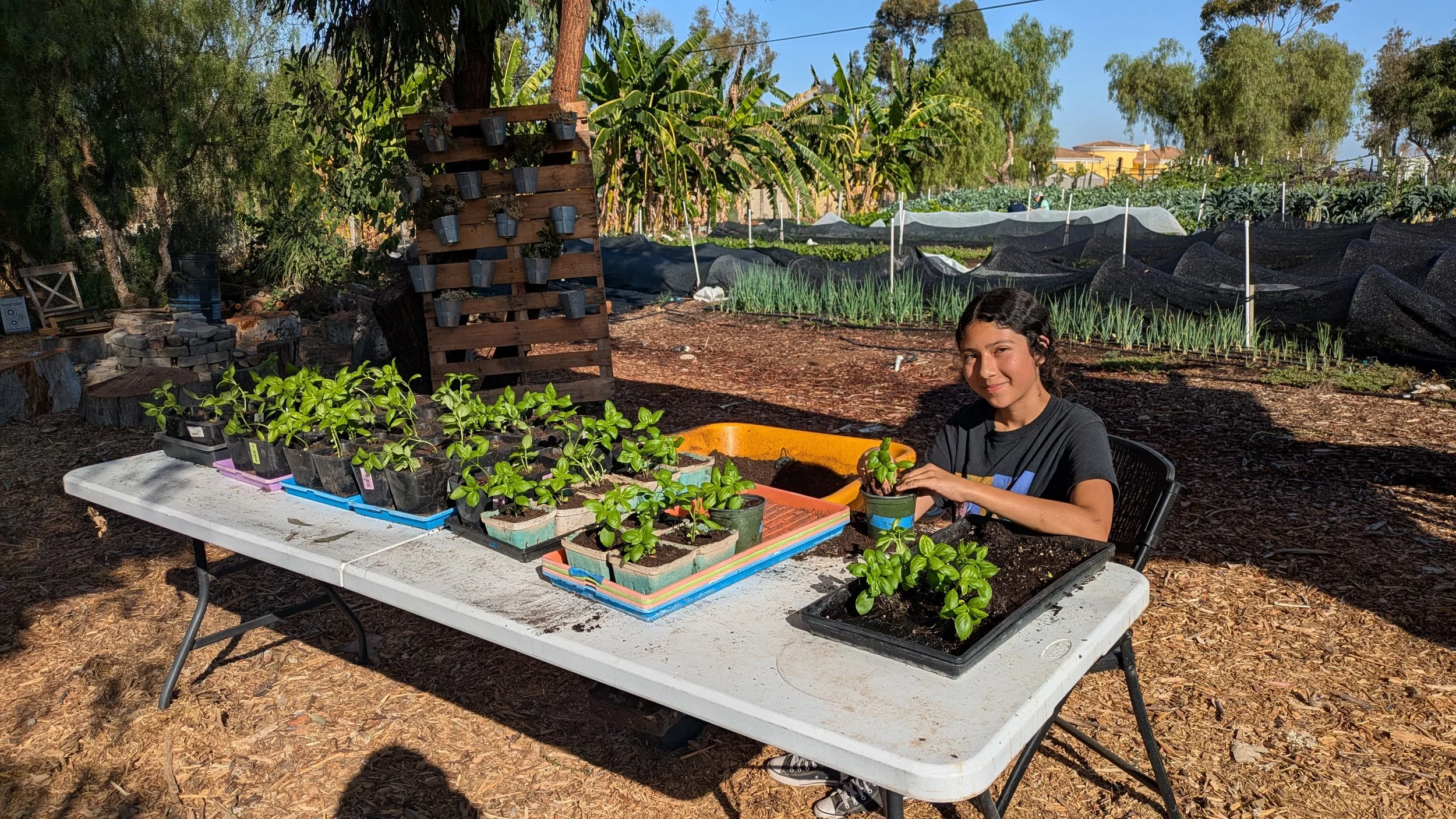 Which PhD is more useful? 