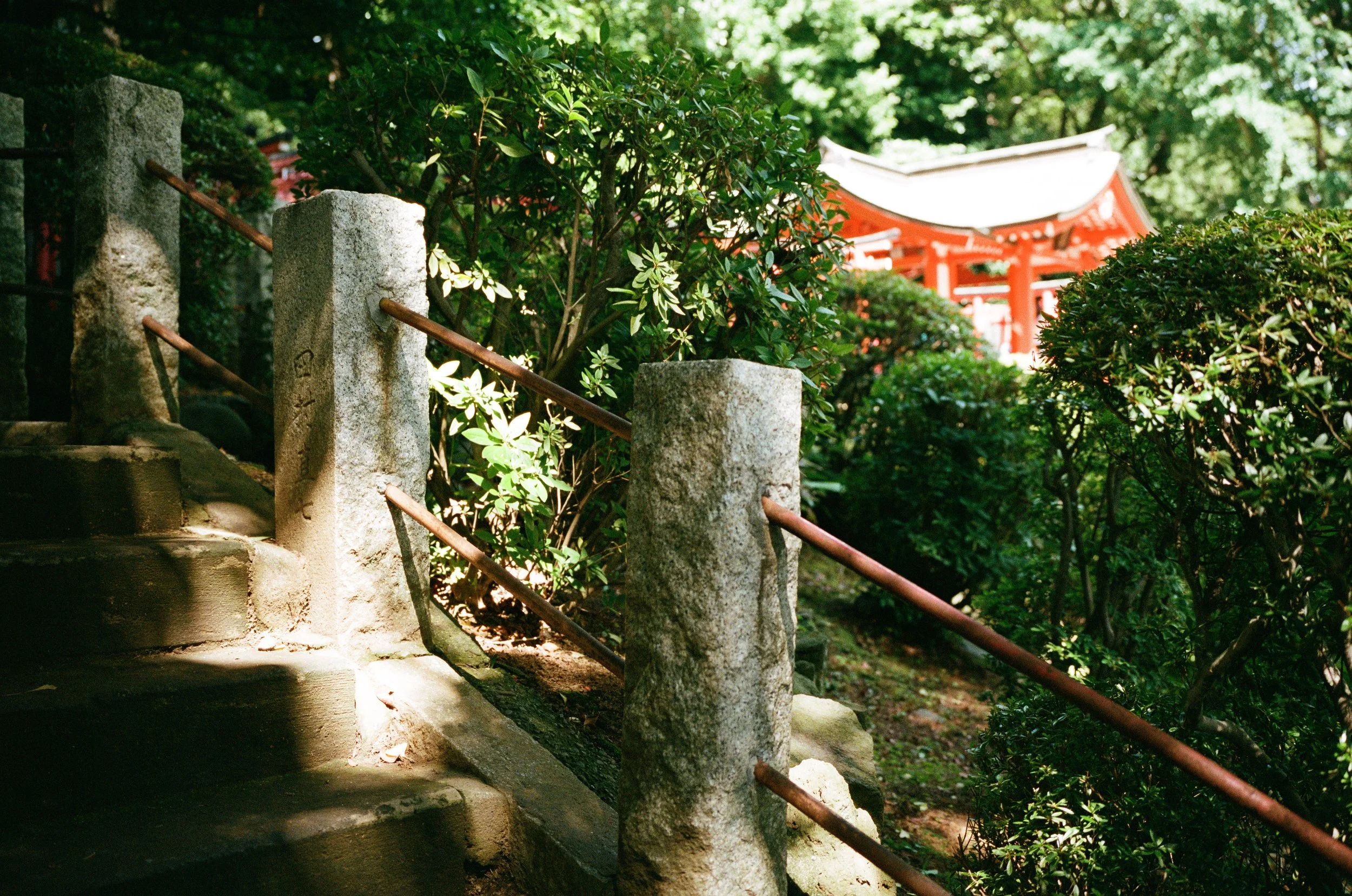 Nezu-jinja, a place of peace and serenity in a city of quiet back streets. I sat there for some time, doing very little. And saw several families - infant, parents and grandparents - come in for formal portraits. I found out later that this was "omiy