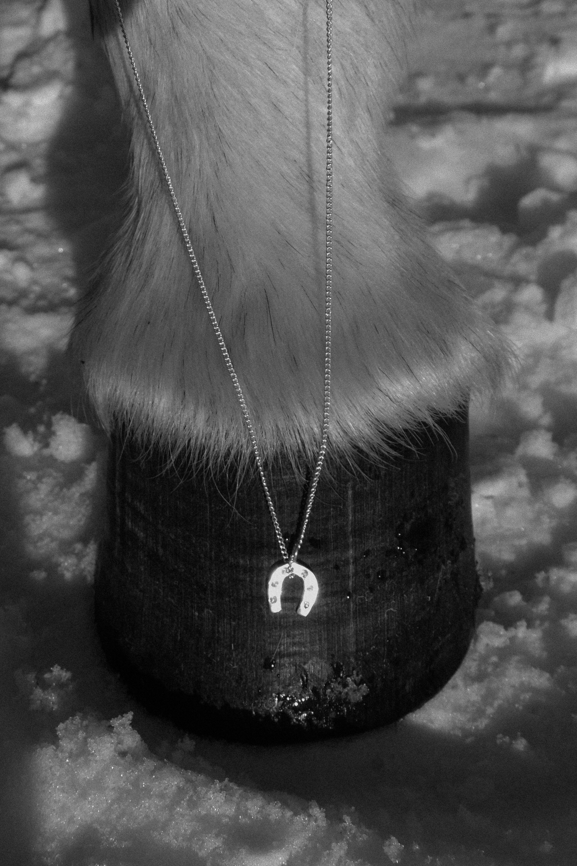 Horseshoe Necklace | Charm
