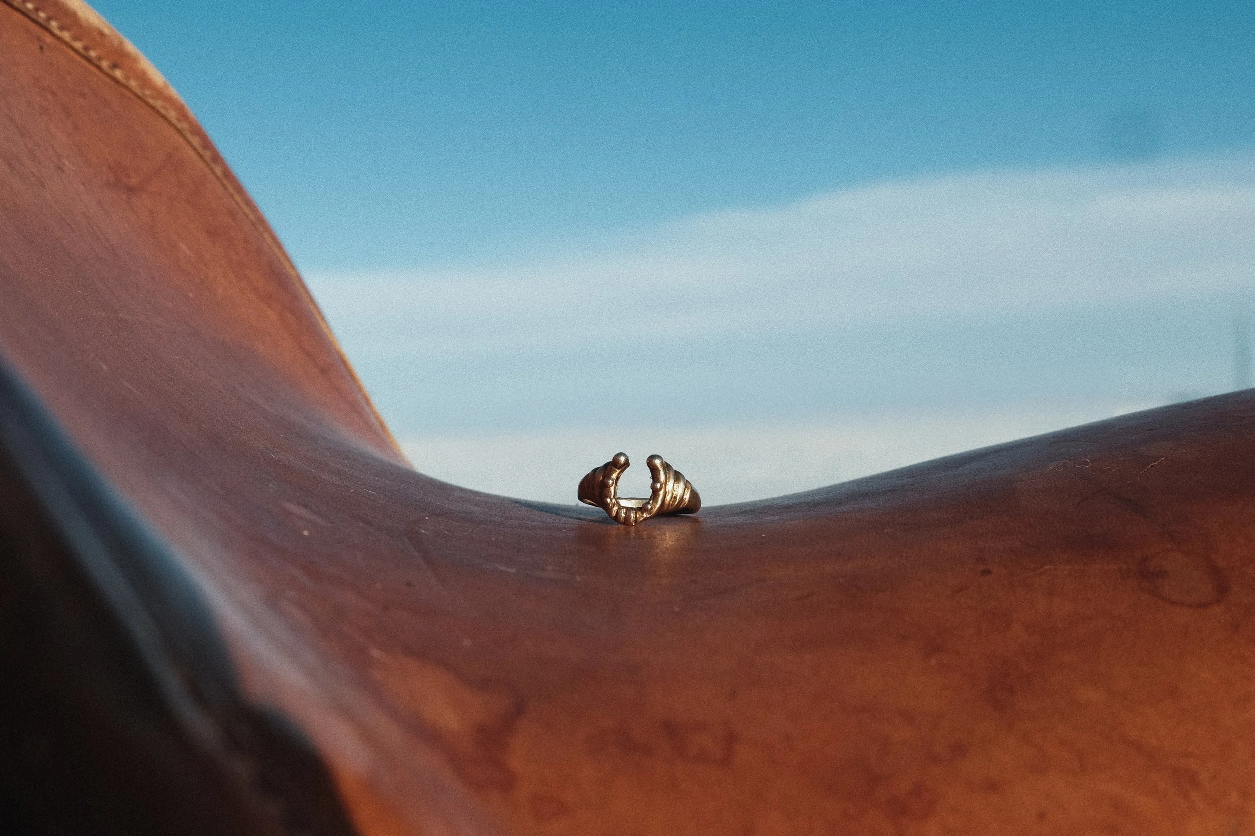 Lucky Horseshoe Ring