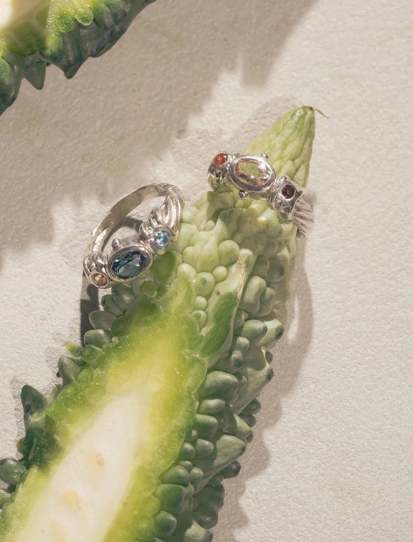 AuroraSilvercopy.jpg (Copy)