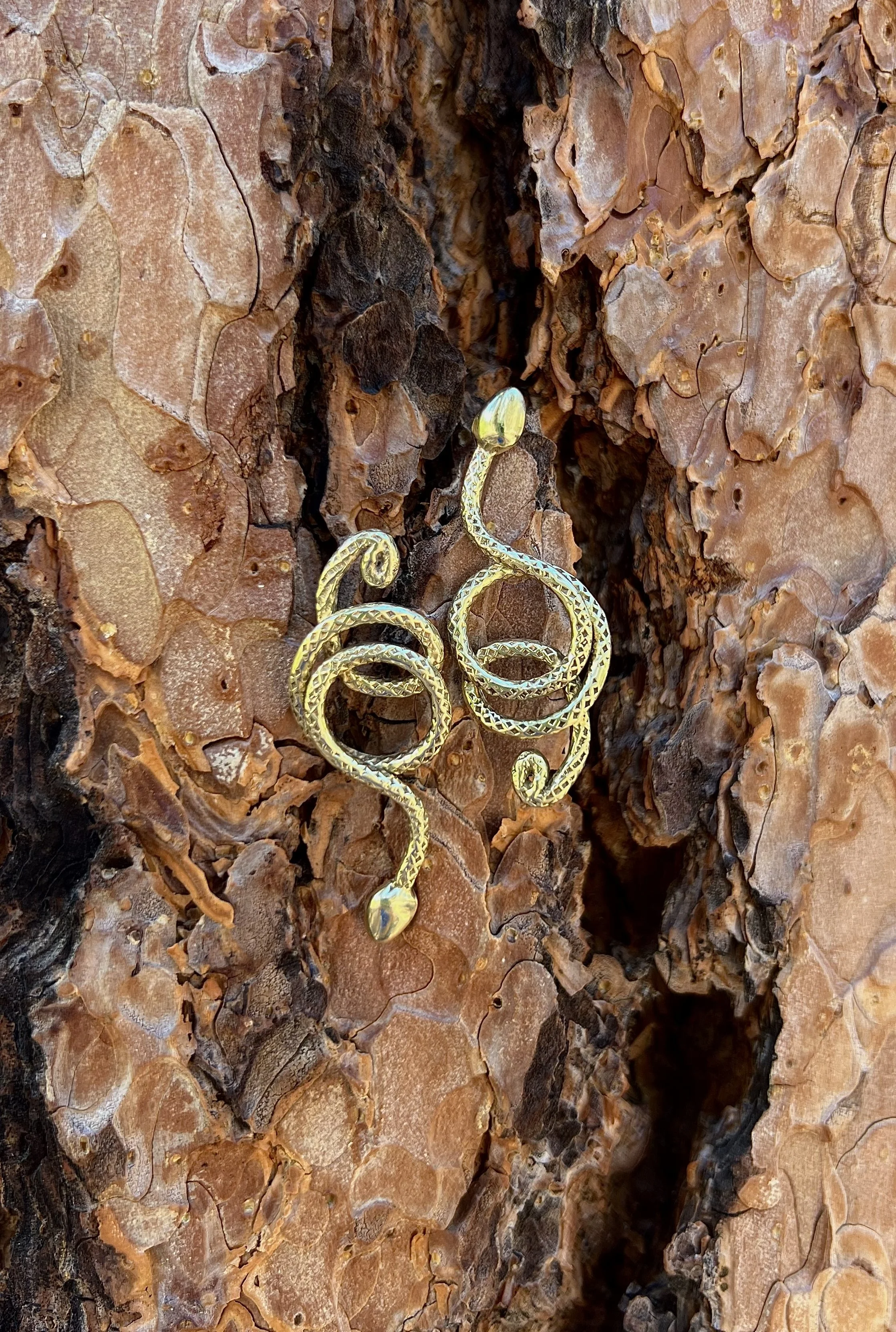 serpentTree.jpg