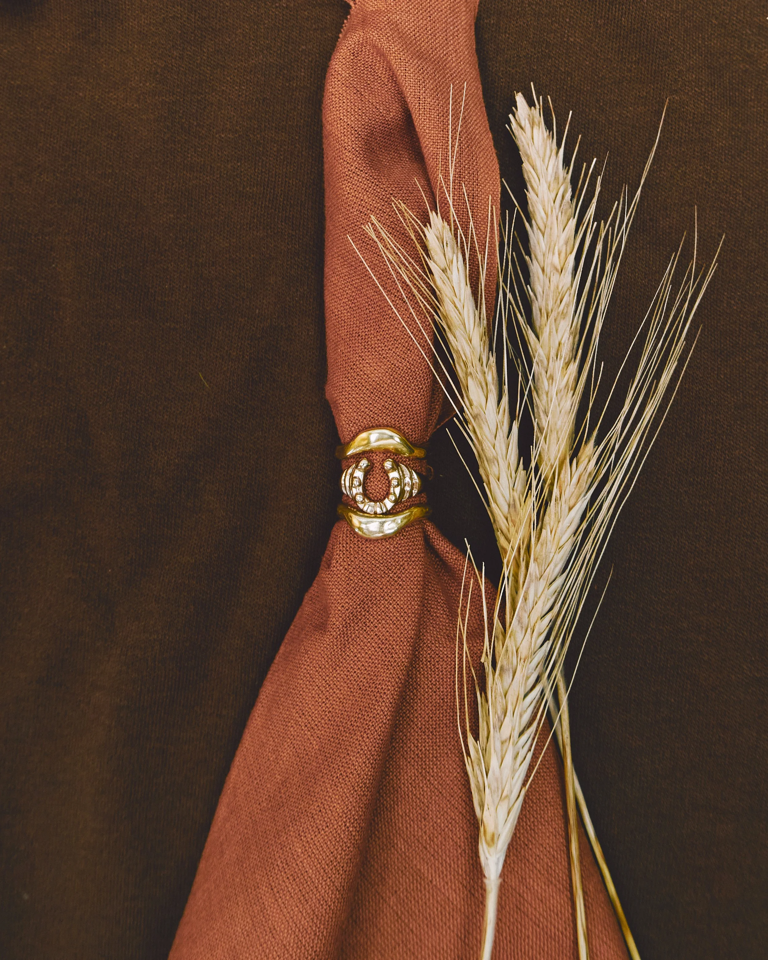 Lucky Horseshoe Ring