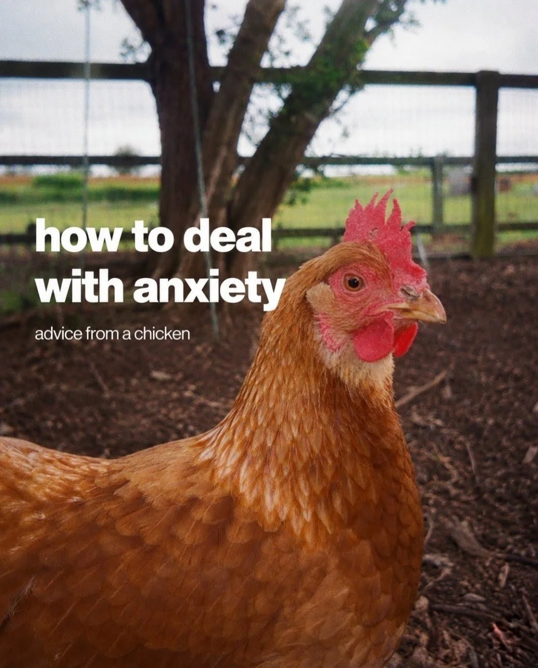 _(1_of_9).jpg