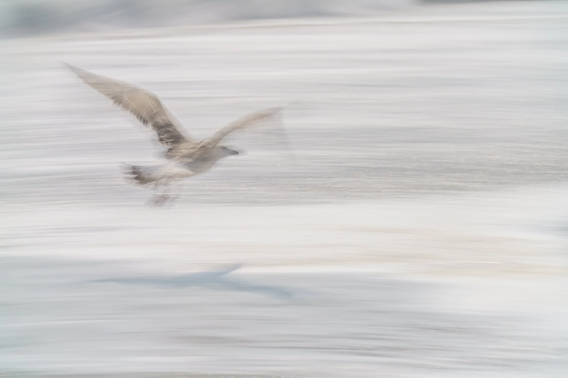 NJ- 2025-09-23-20.jpg