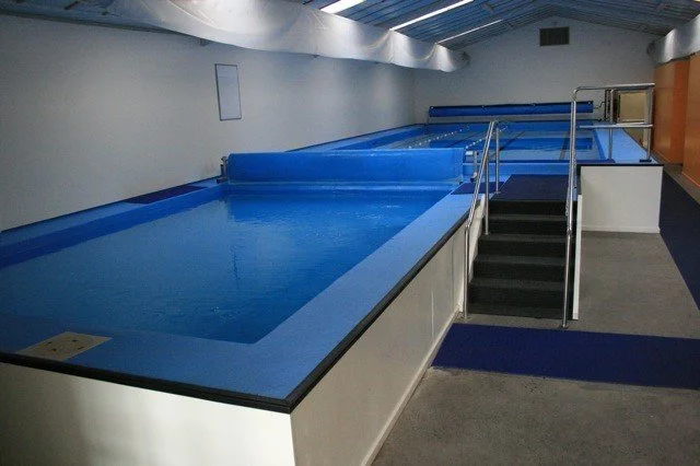 Mayfair Pools Our Pools and Spas — Mayfair Pools & Spas NZ - Your Swimming Pool ...