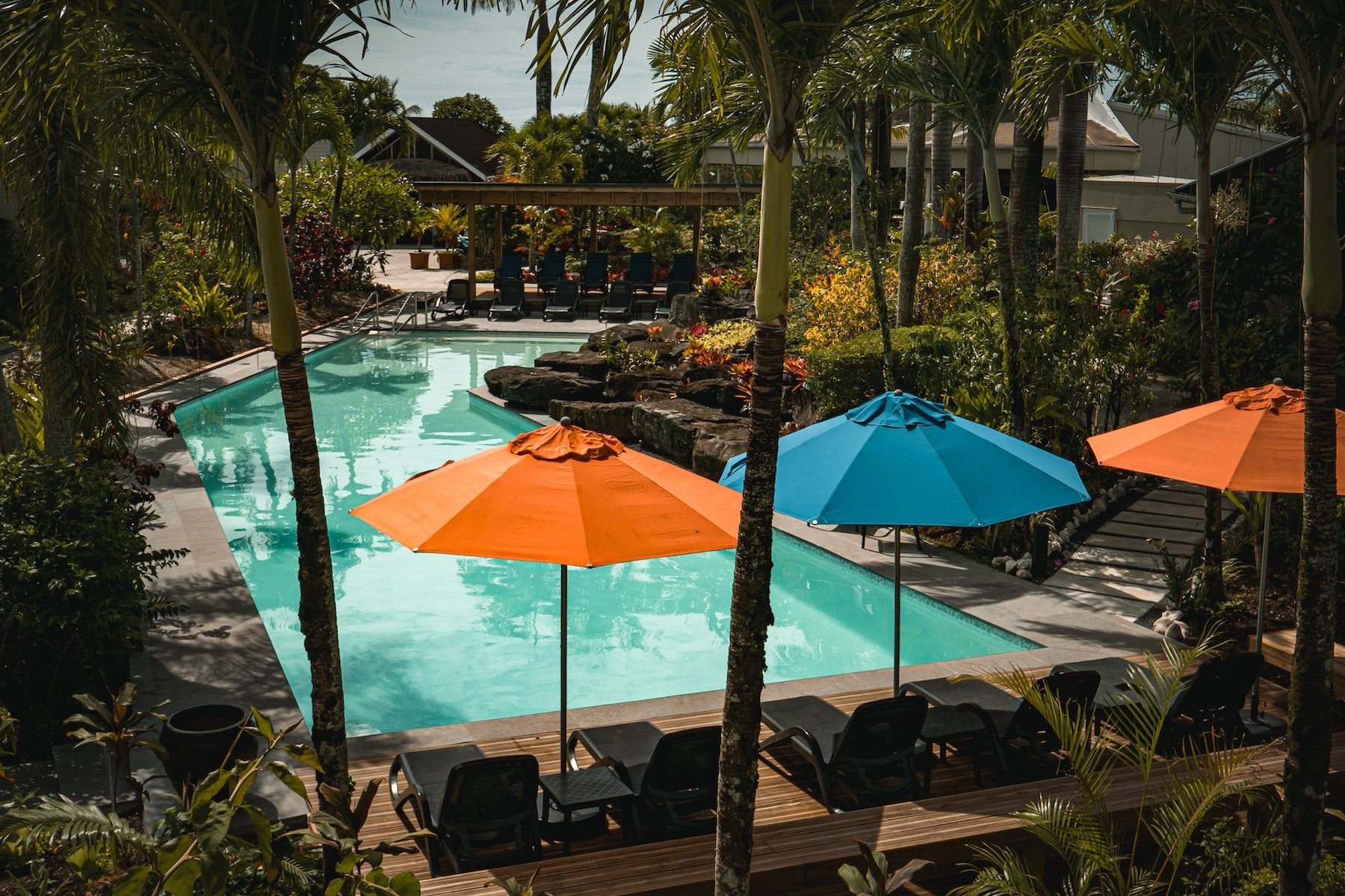 2024+Jan+garden+pool+copy.jpg
