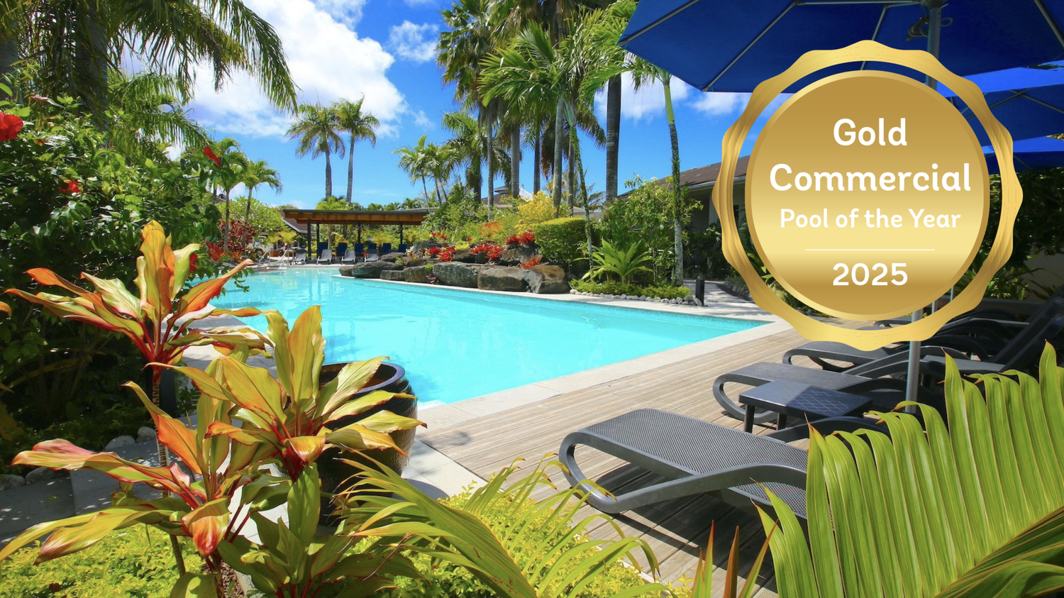 Distinguishing Pool New Port Palparticipants Receive Directly Reference: Gold Commercial Pool Of The Year 2025 Twice The Paradise