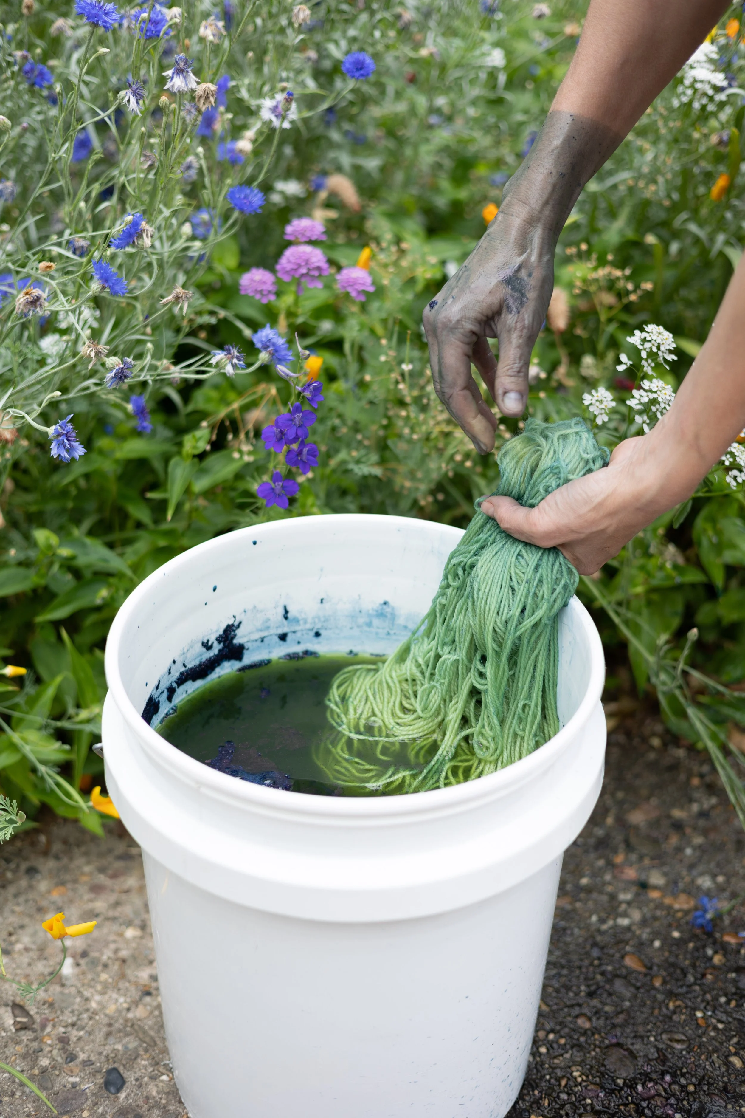 CSP-2023-06-21-0556 - HiRes.jpeg