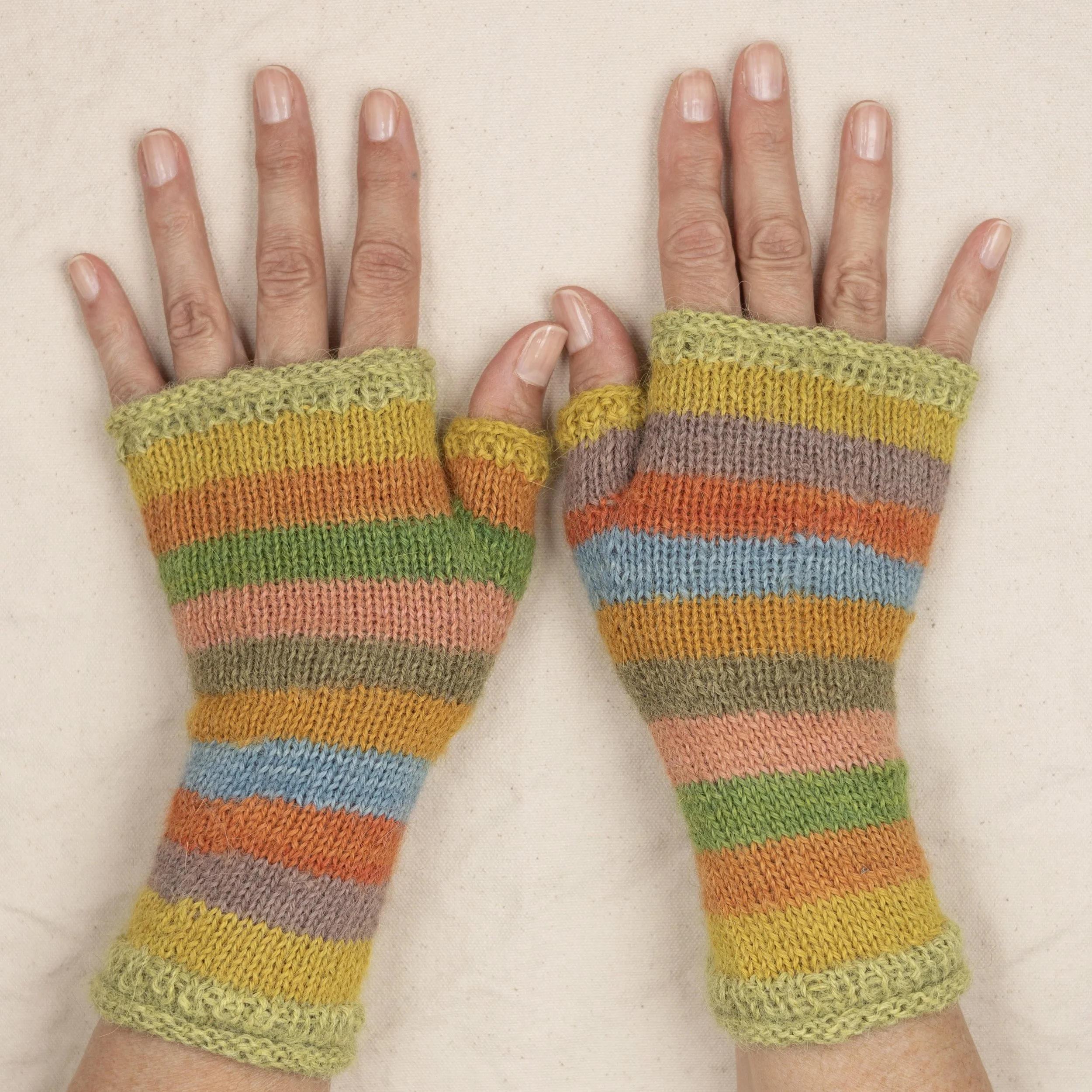 CSP-2023-06-21-0251 - HiRes.jpeg