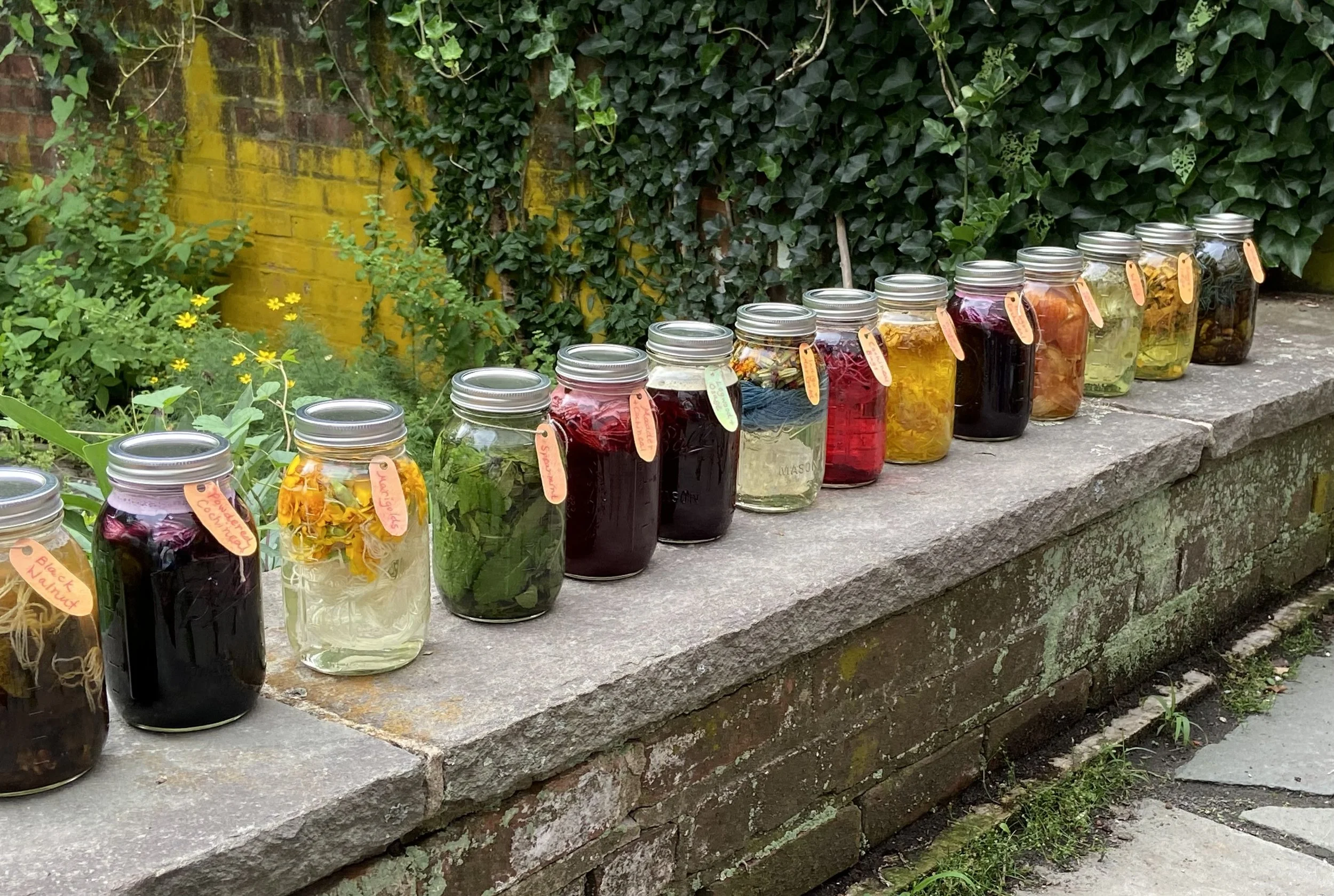 PLANT DYEING IMMERSION COURSE with Nicole Nicola