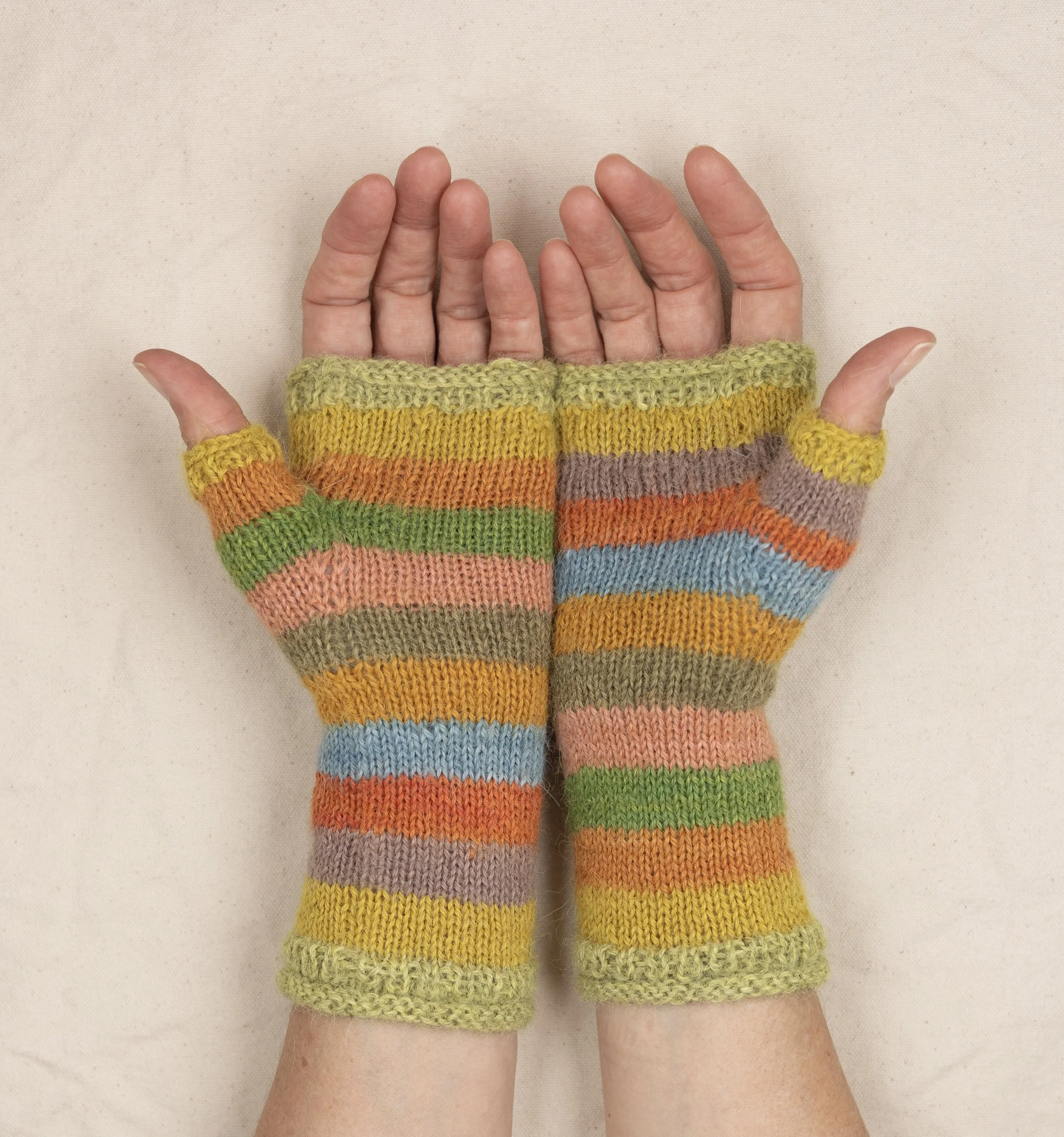 CSP-2023-06-21-0293 - HiRes.jpeg