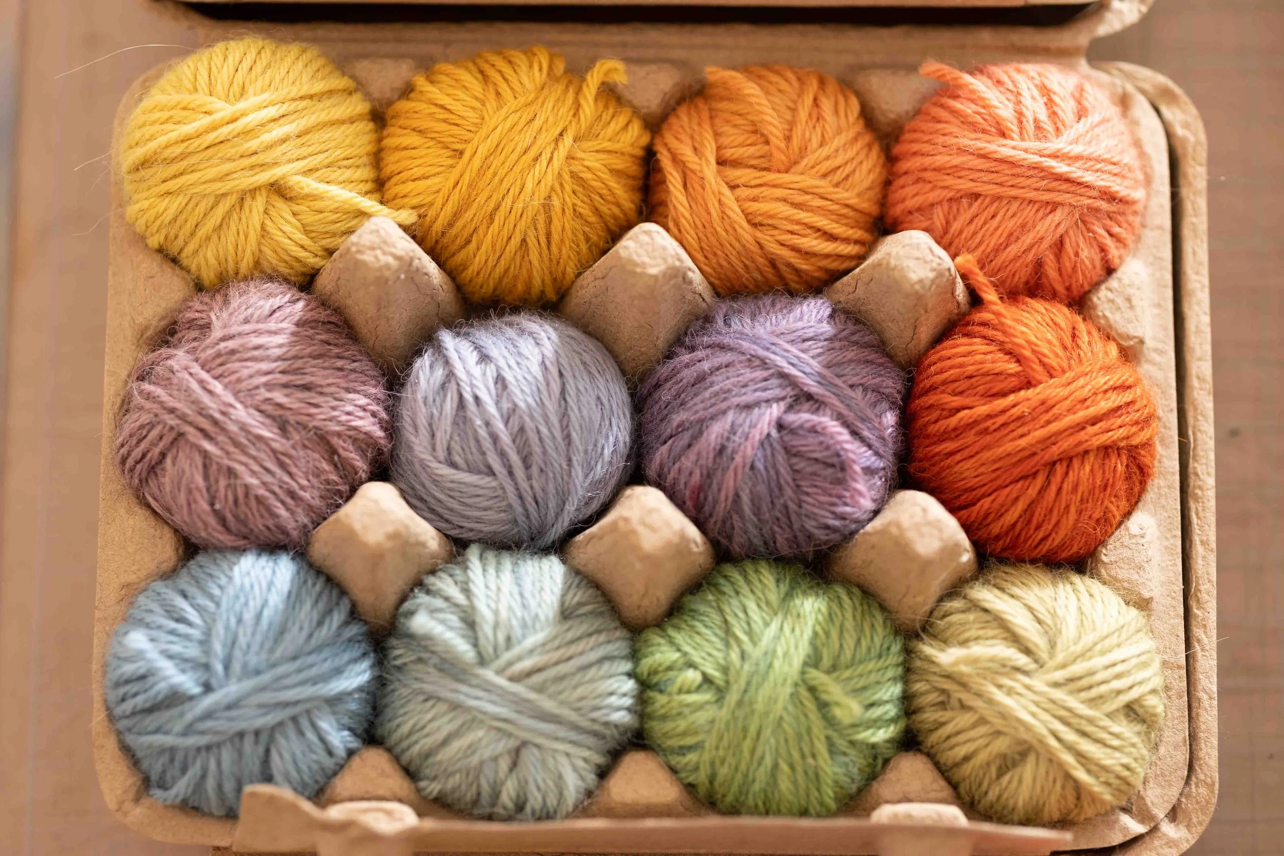 CSP-2026-03-11-9364 (LowRes).jpeg