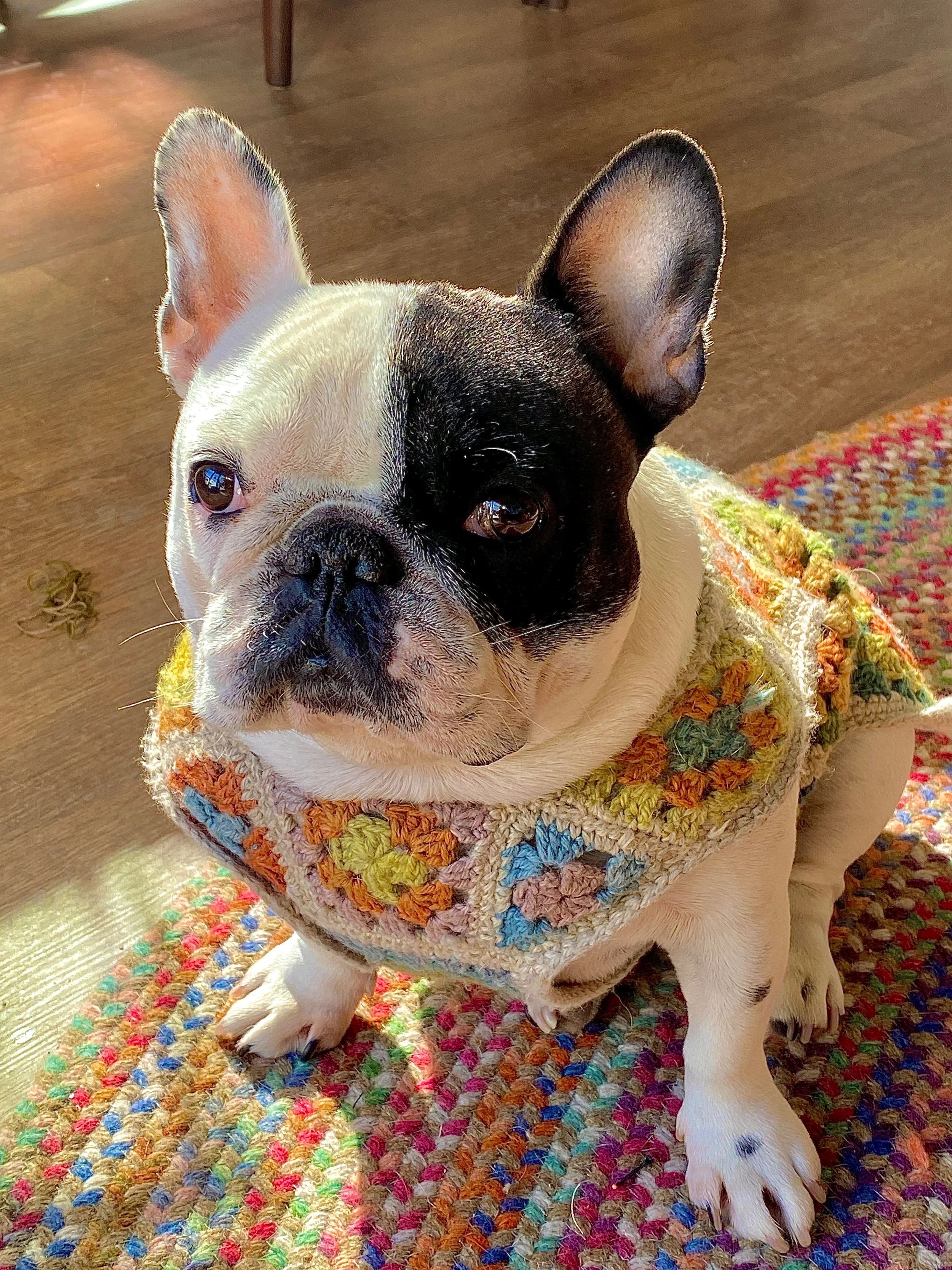 Spring Break Mini-Camps March 30 - April 1