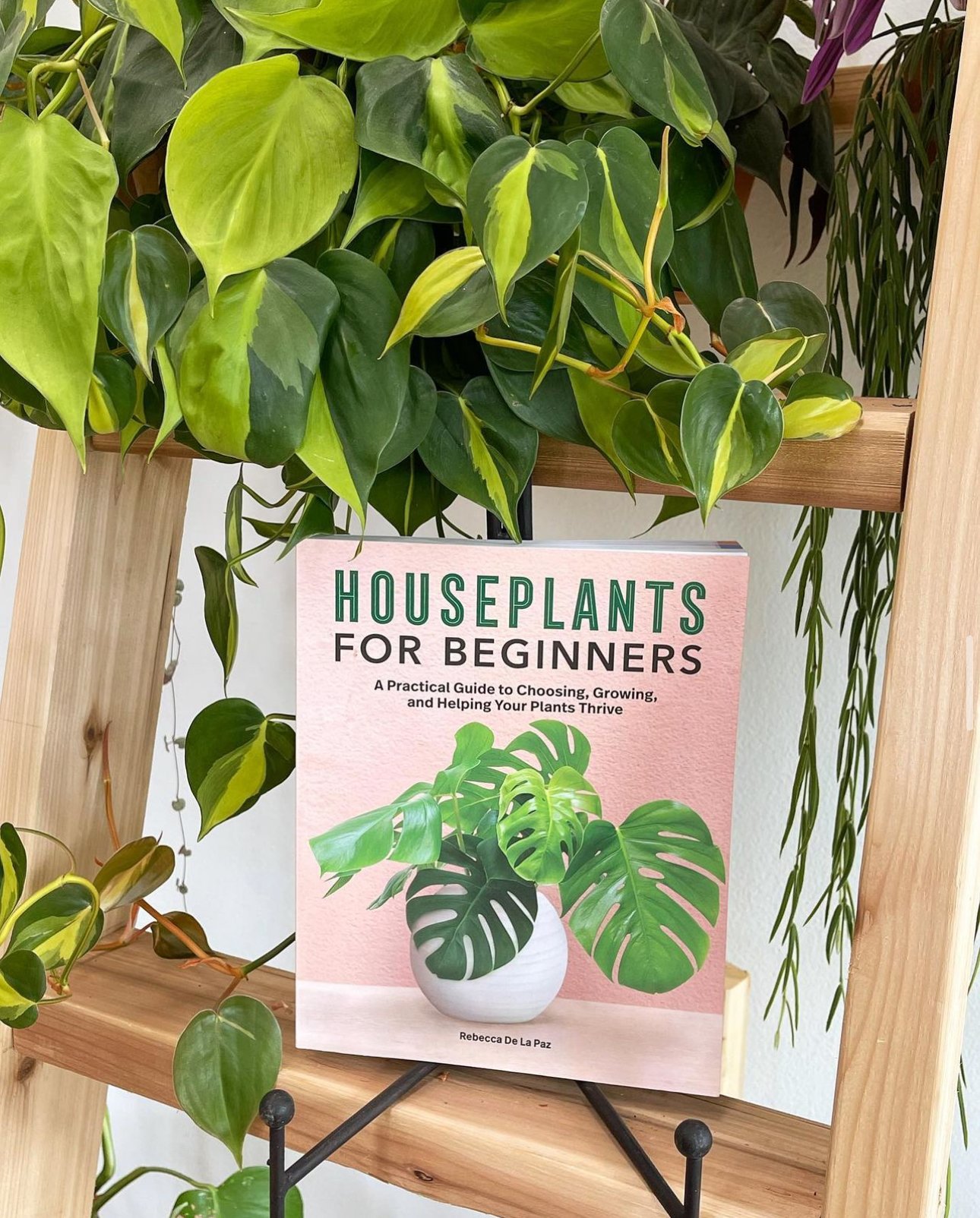 Softcover HFB.jpeg