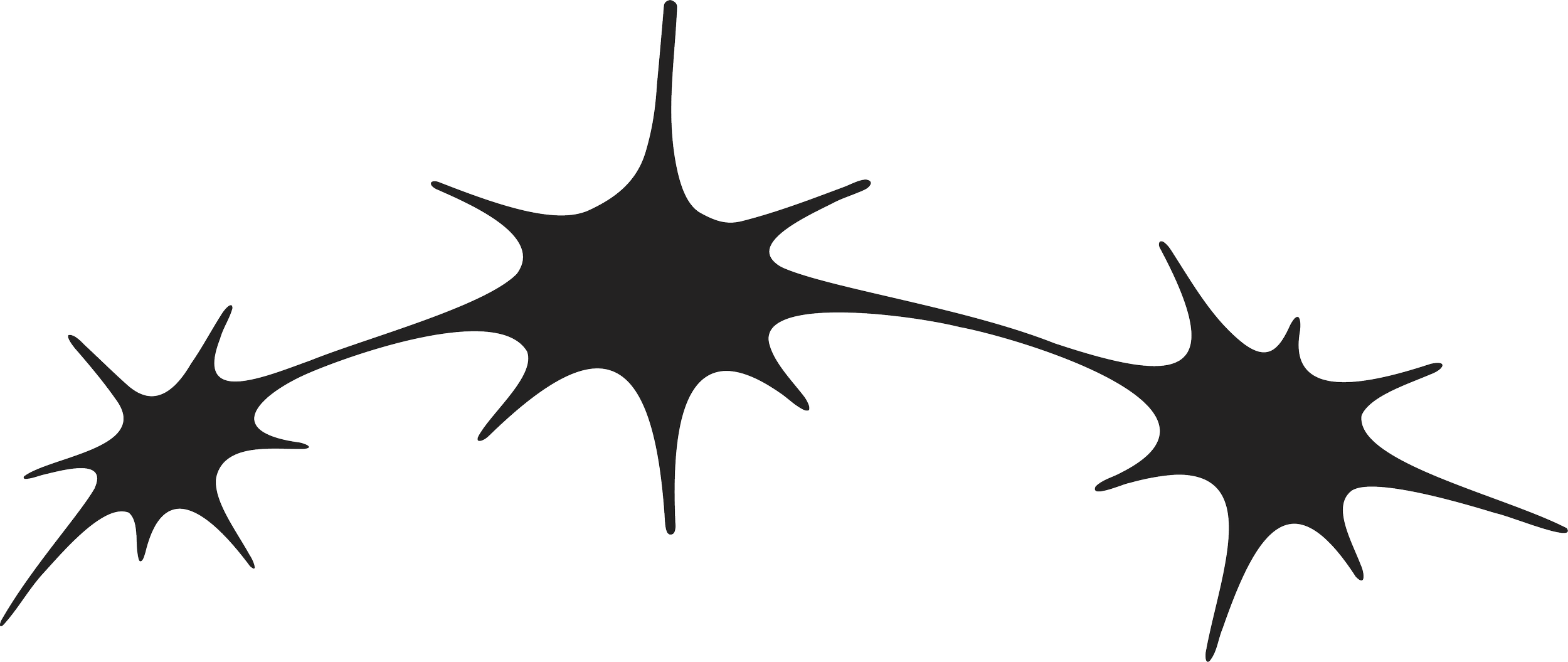 Illustration of three black star-shaped biological cells with elongated projections.