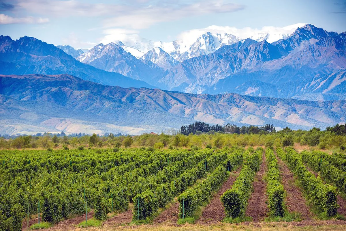Scenic-photo-things-to-do-in-Mendoza-Argentina.jpeg