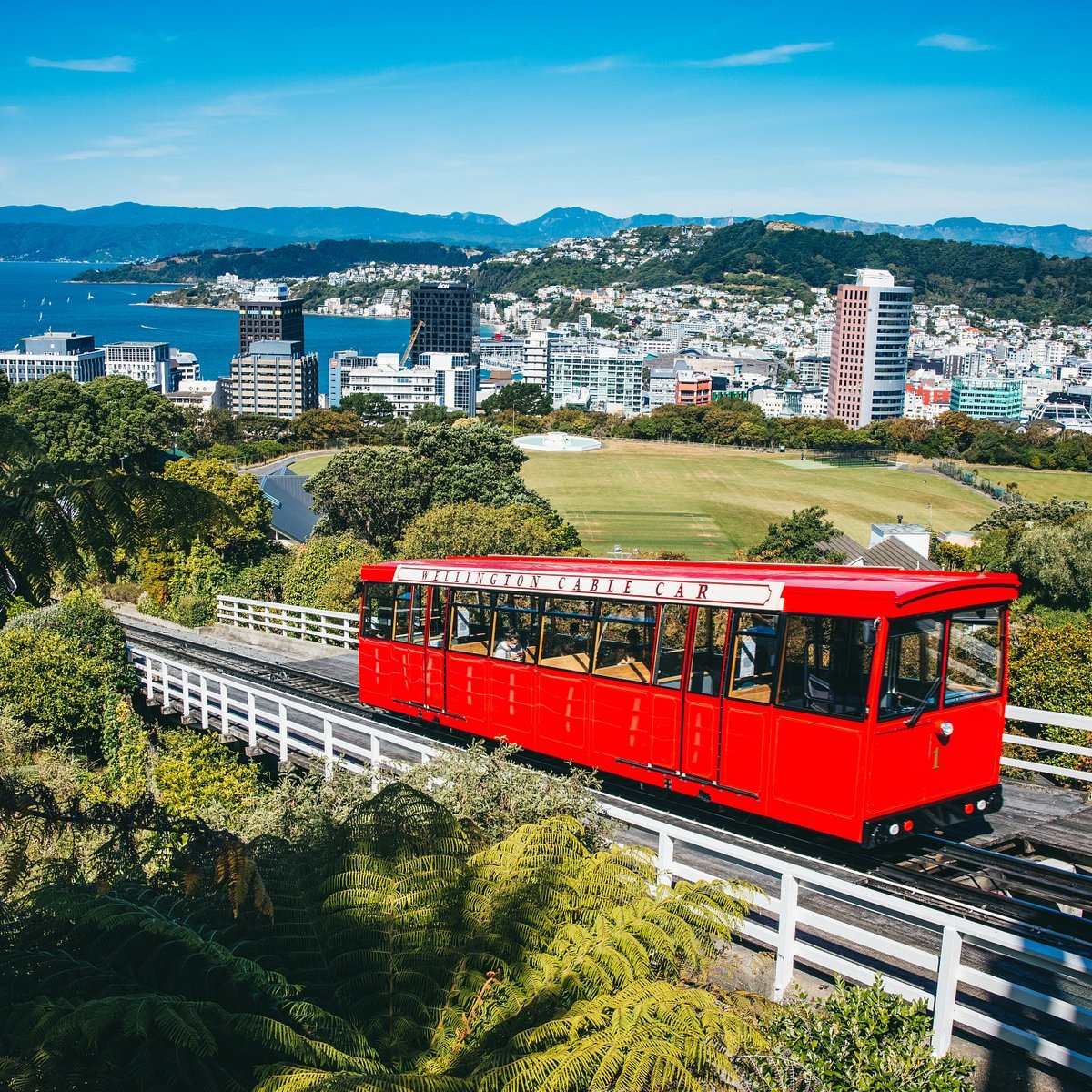 best-views-in-wellington.jpeg