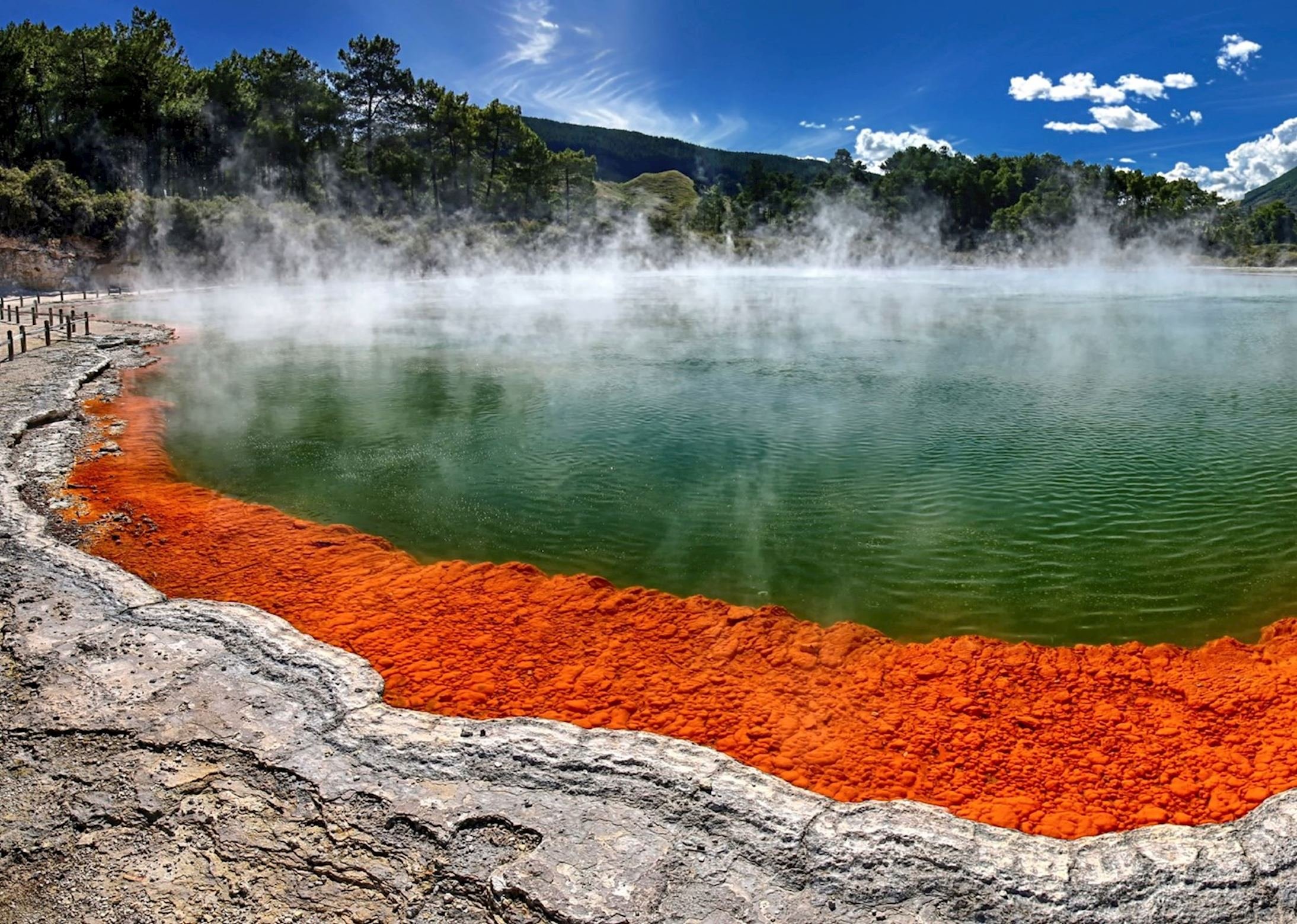 Rotorua_1.jpeg