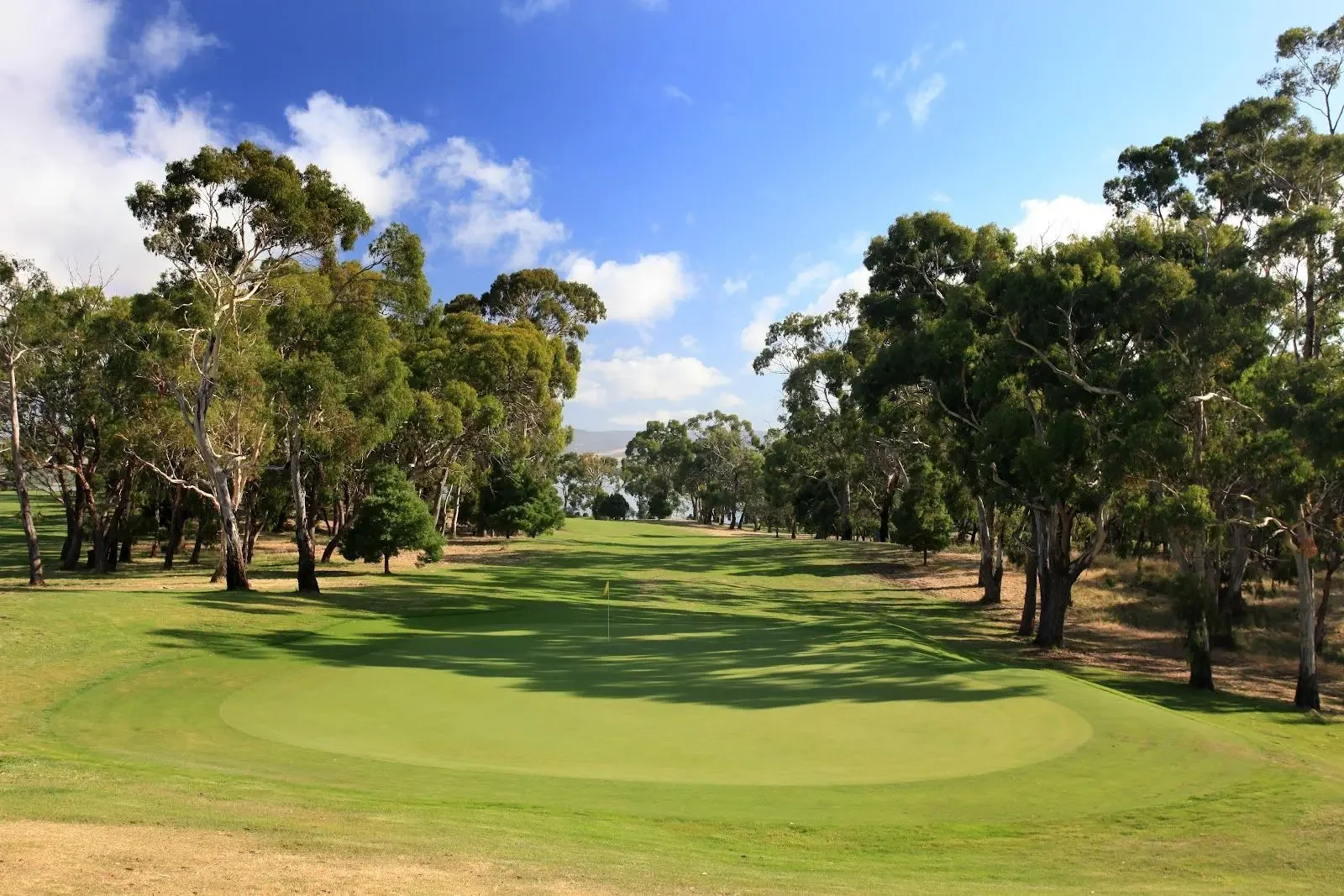 Tasmania GC 1.webp
