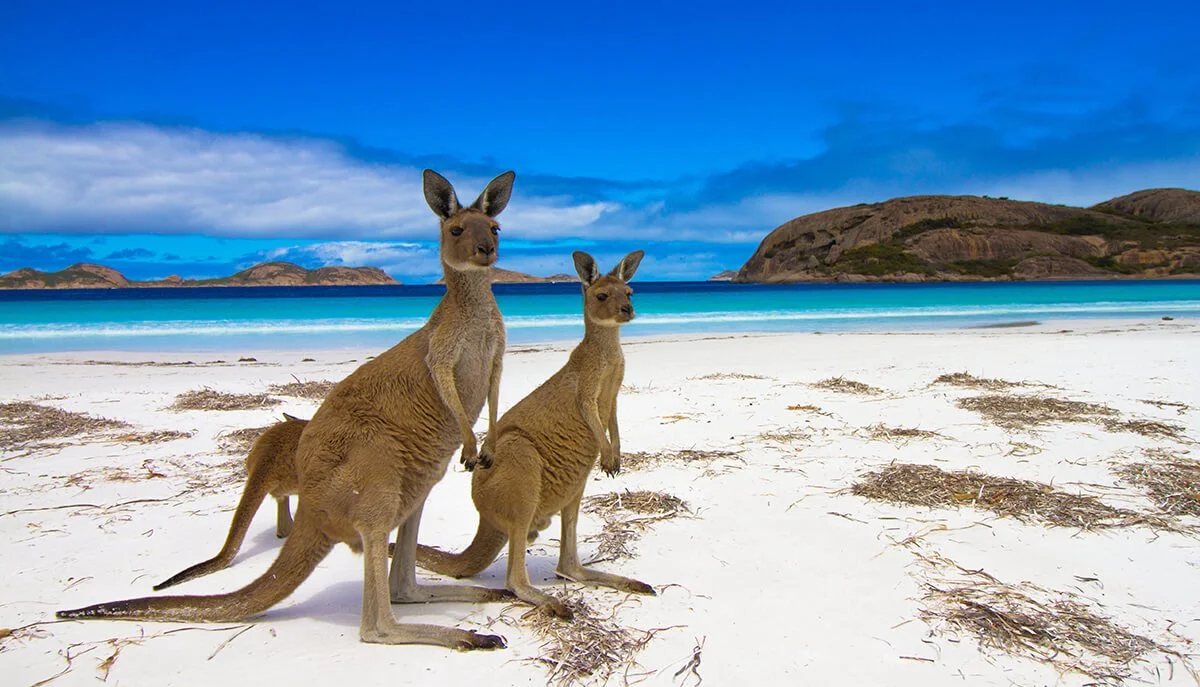Kangaroo Island 2.jpg