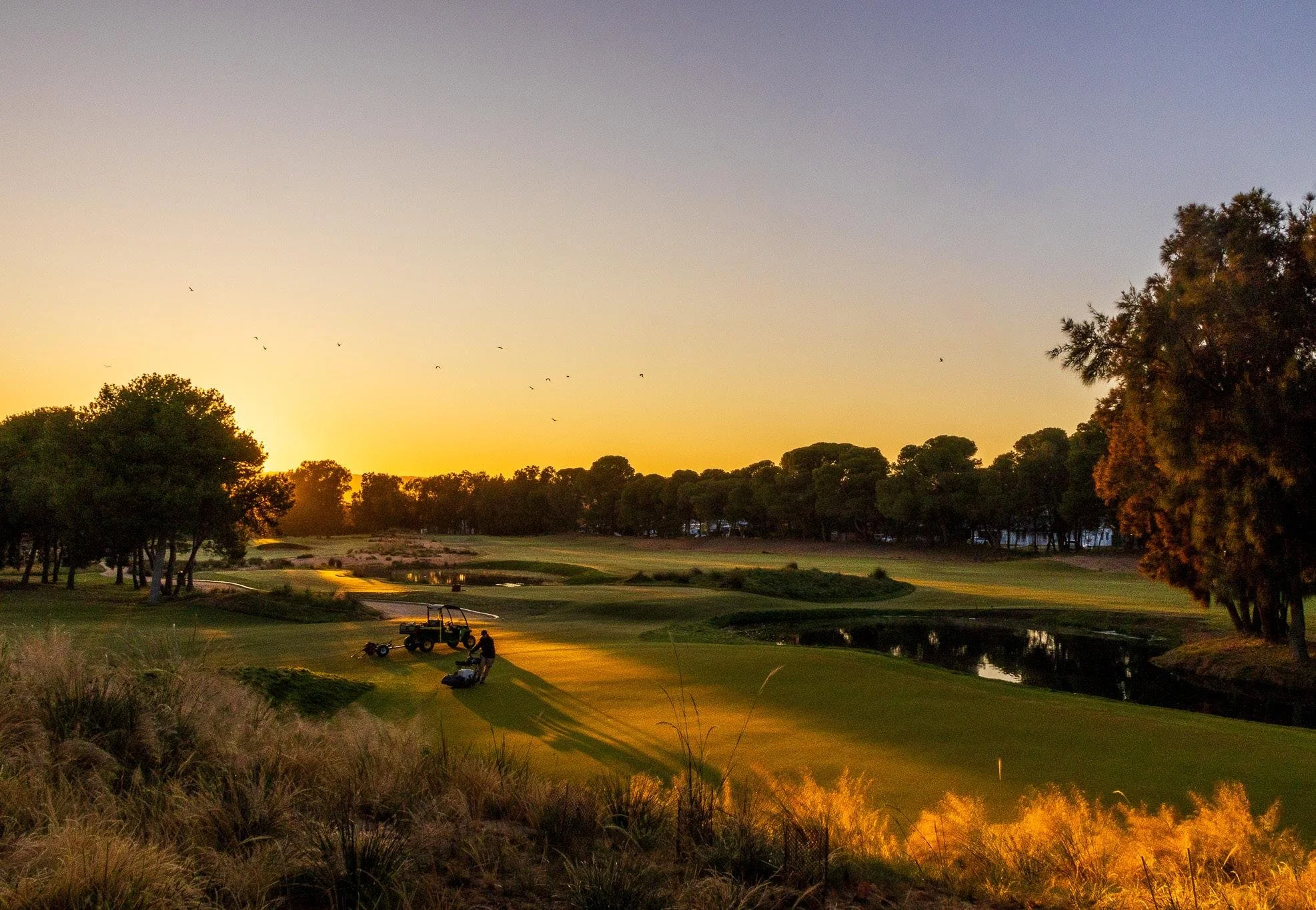 Glenelg Golf Club 2.jpeg