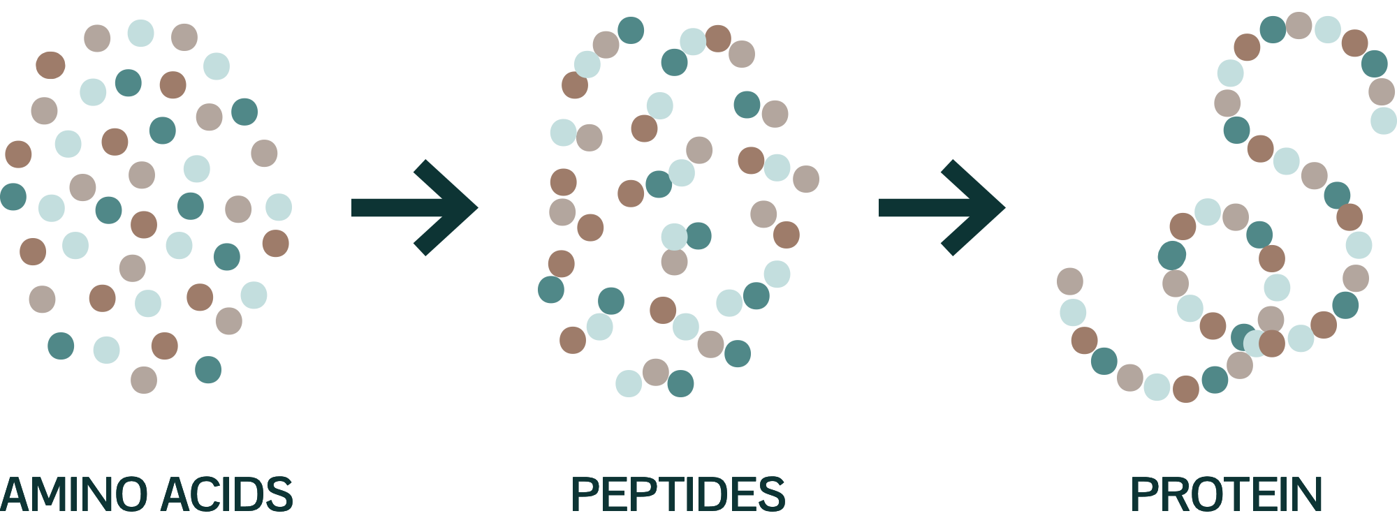 Concierge Medicine Shreveport Peptide Concierge Clinic