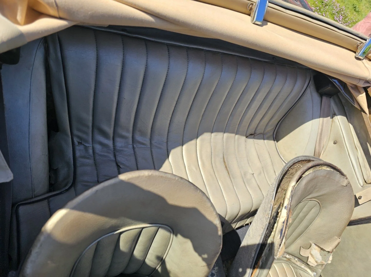 20260424_110509.jpeg